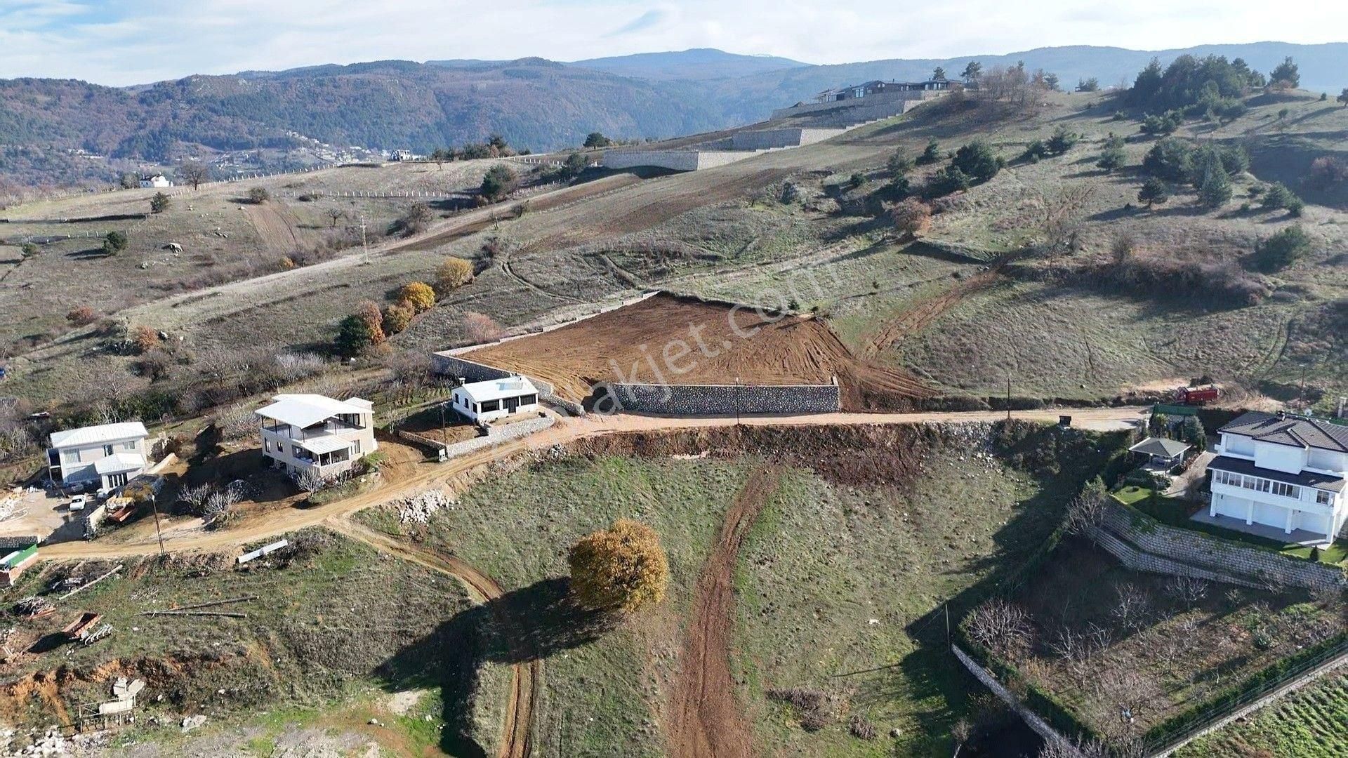 Nilüfer Dağyenice Satılık Tarla Bursa Nilüfer Dağyenice Satılık Arsa