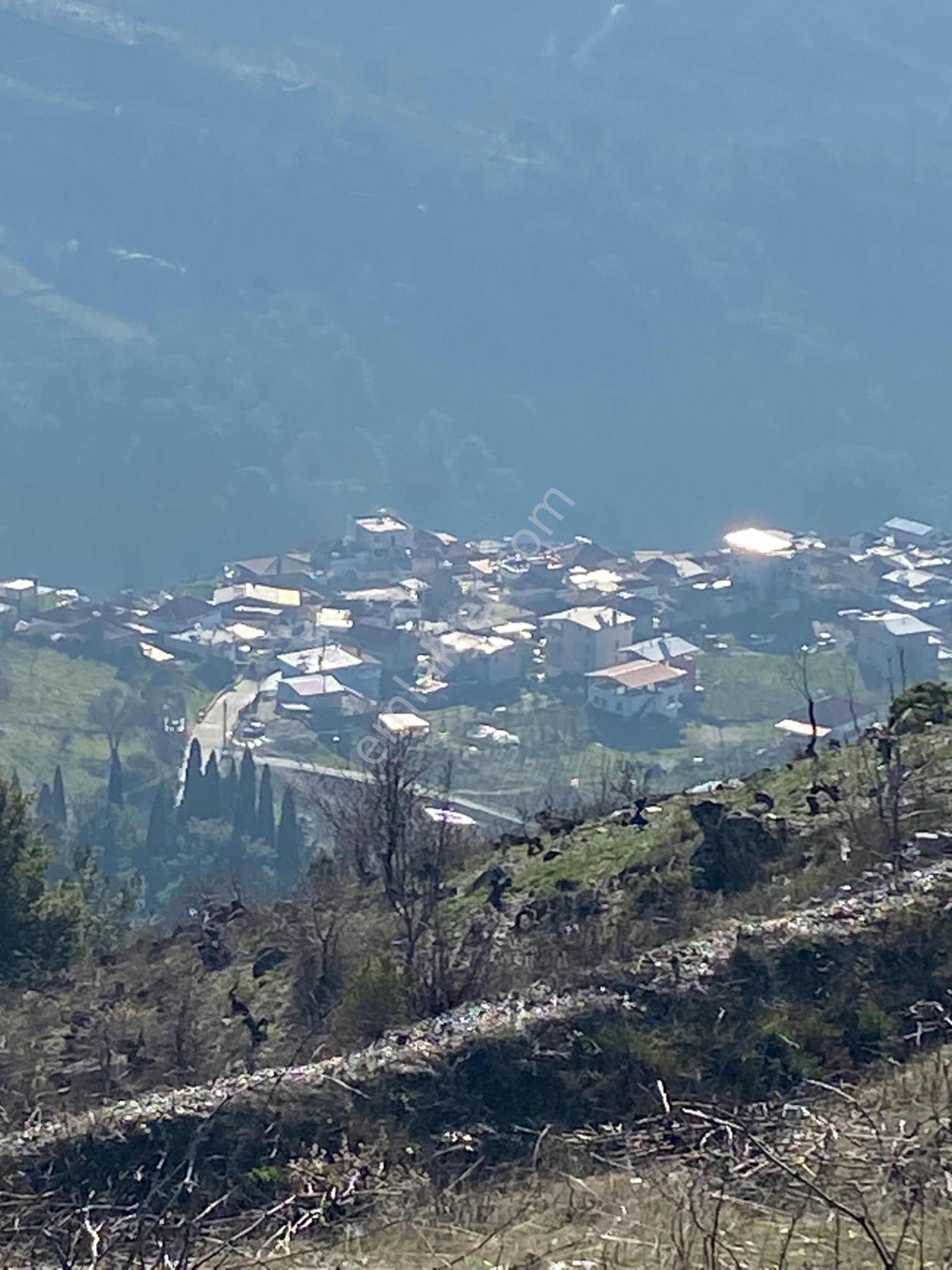 Karabağlar Kavacık Satılık Bağ & Bahçe Karabağlar, Kavacık Köyü 12897m2 Satıkık Arsa