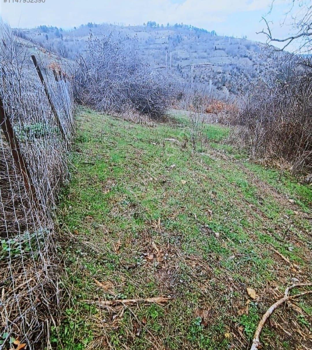 Osmangazi Dağakça Satılık Tarla Sinerji'den Bursa Osmangazi Dağakça Da Köye Yakın Tarla