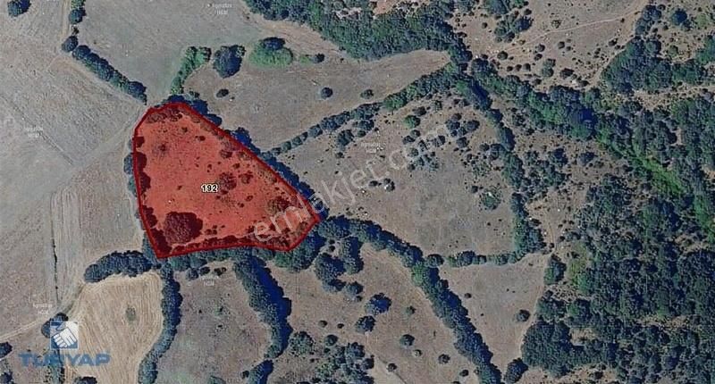 Biga Eybekli Köyü Satılık Tarla Çanakkale Biga Eybekli Köyünde Bulunan 8.375m2 Fırsat Tarla