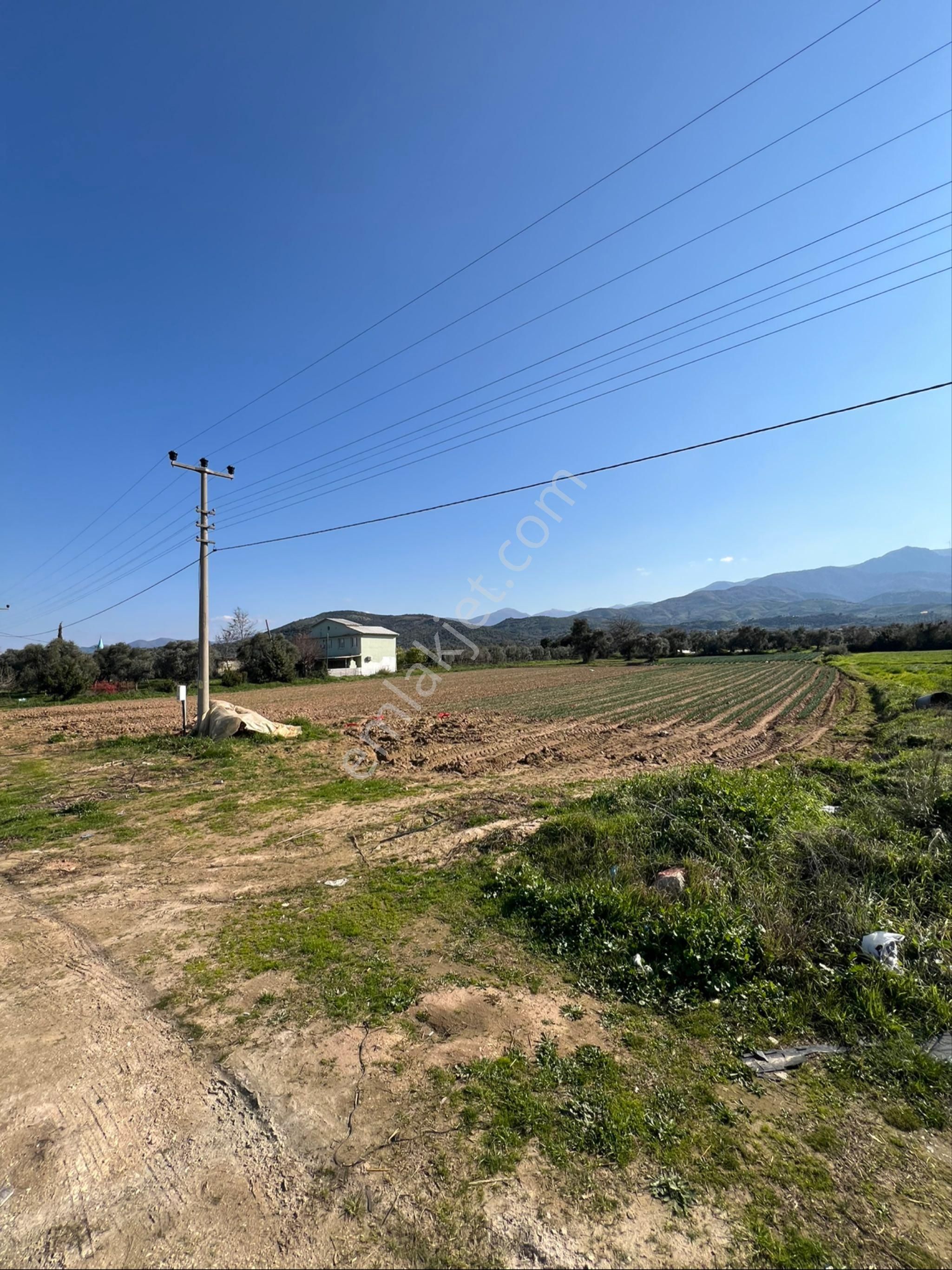 Akyörük Gayrimenkulden Satılık Ödemiş Ana Yolunda - Görsel 5