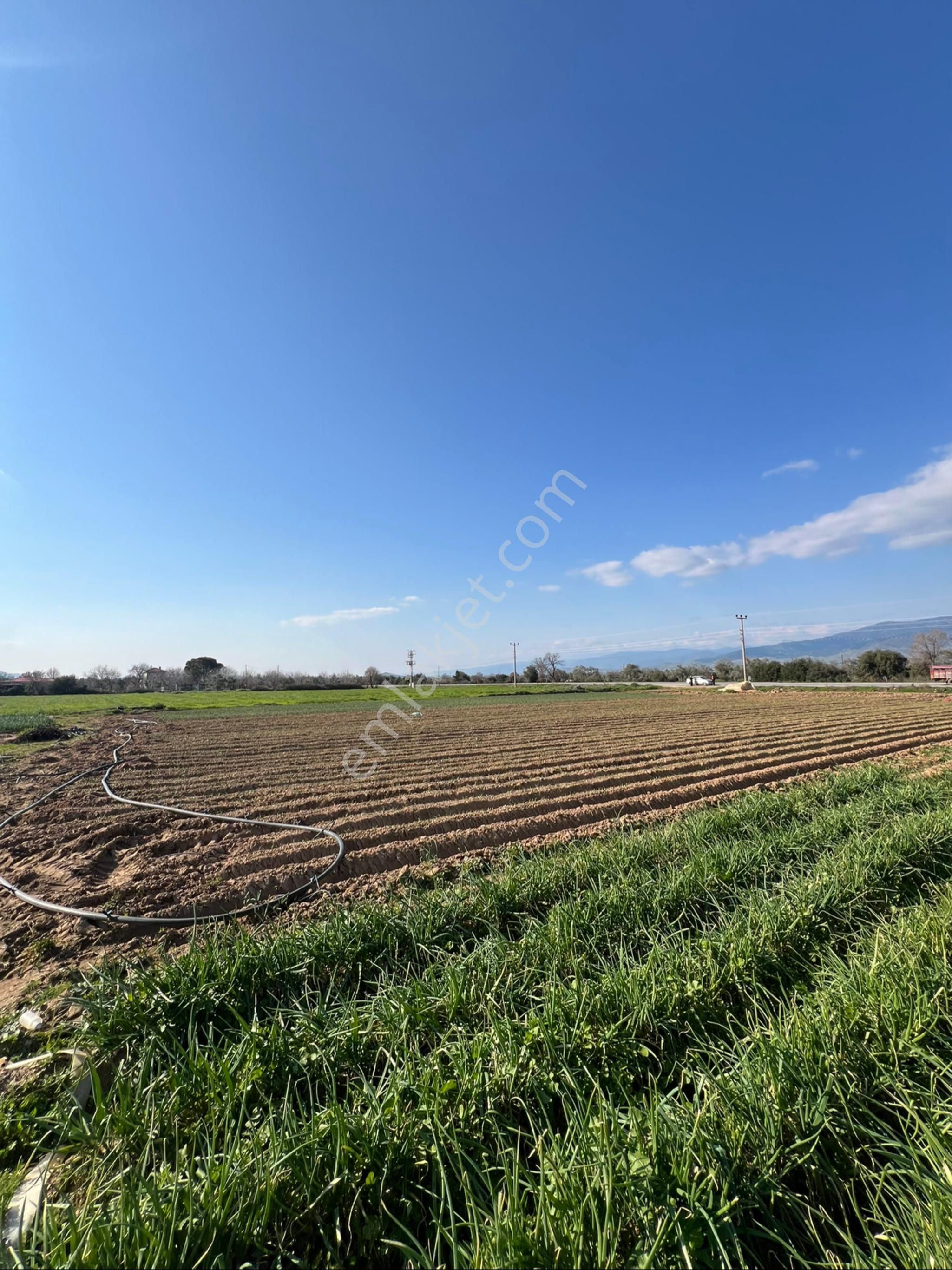 Akyörük Gayrimenkulden Satılık Ödemiş Ana Yolunda - Görsel 17