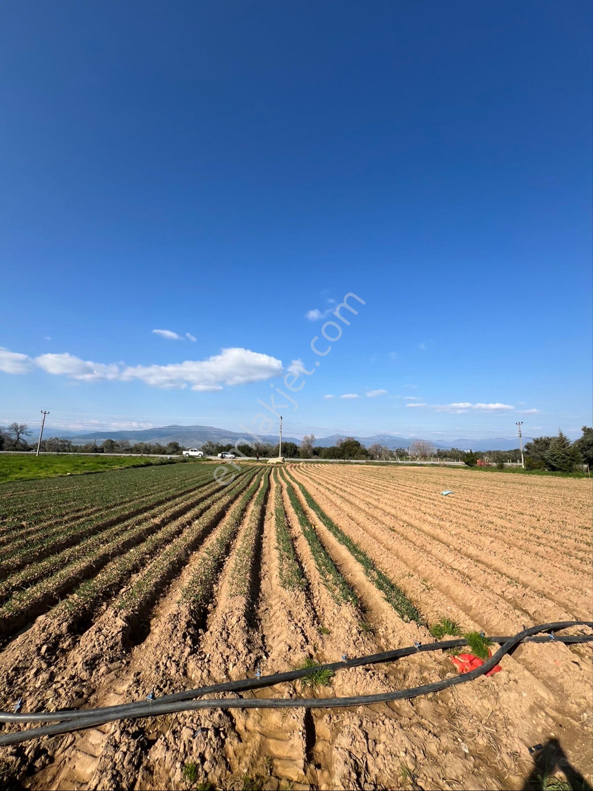 Akyörük Gayrimenkulden Satılık Ödemiş Ana Yolunda - Görsel 13