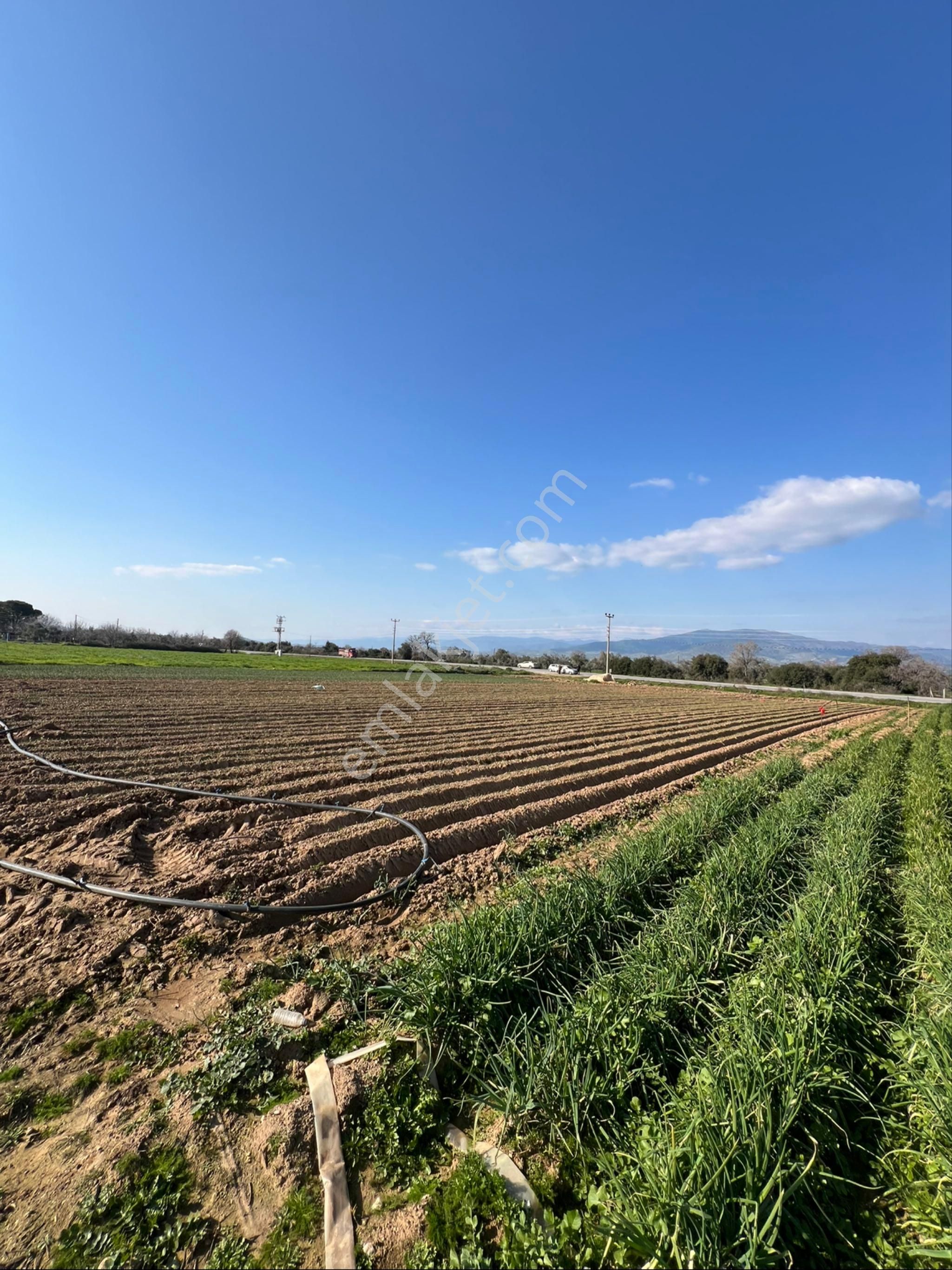 Akyörük Gayrimenkulden Satılık Ödemiş Ana Yolunda - Görsel 15