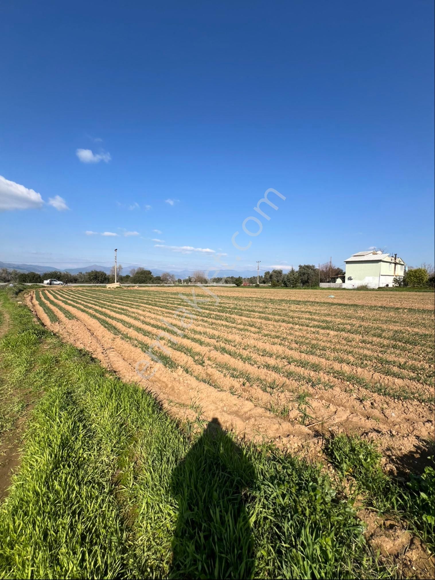 Akyörük Gayrimenkulden Satılık Ödemiş Ana Yolunda - Görsel 9
