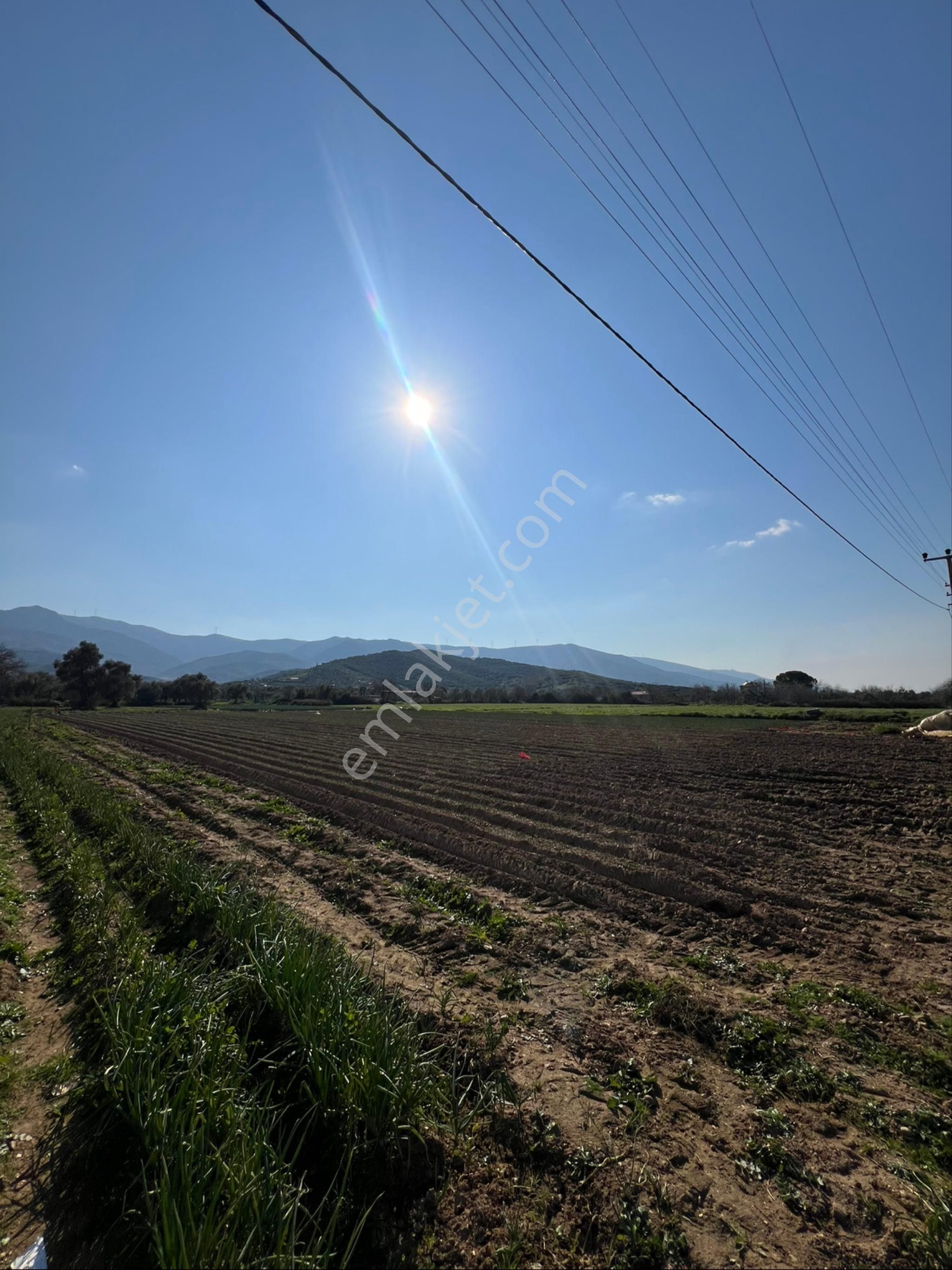 Akyörük Gayrimenkulden Satılık Ödemiş Ana Yolunda - Görsel 18