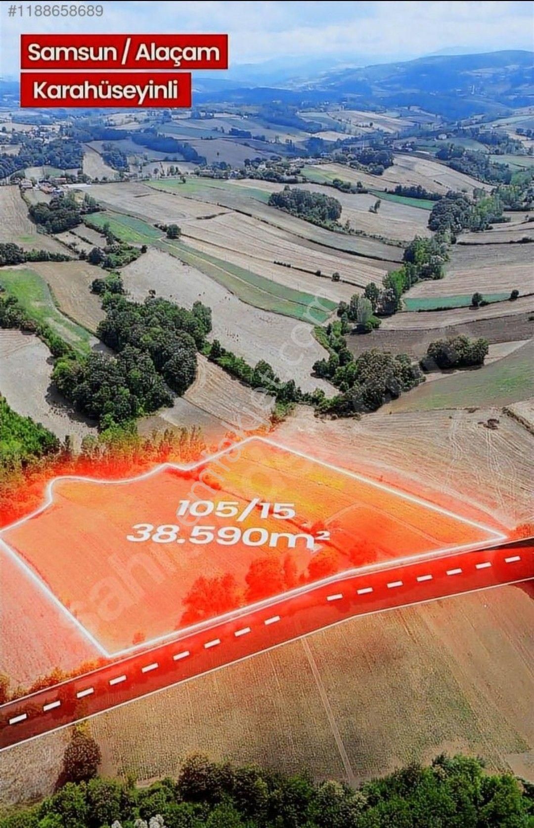 Samsun Verimli Bafra Ovasında Satılık 38595 M2 Verimli Arazi - Görsel 23