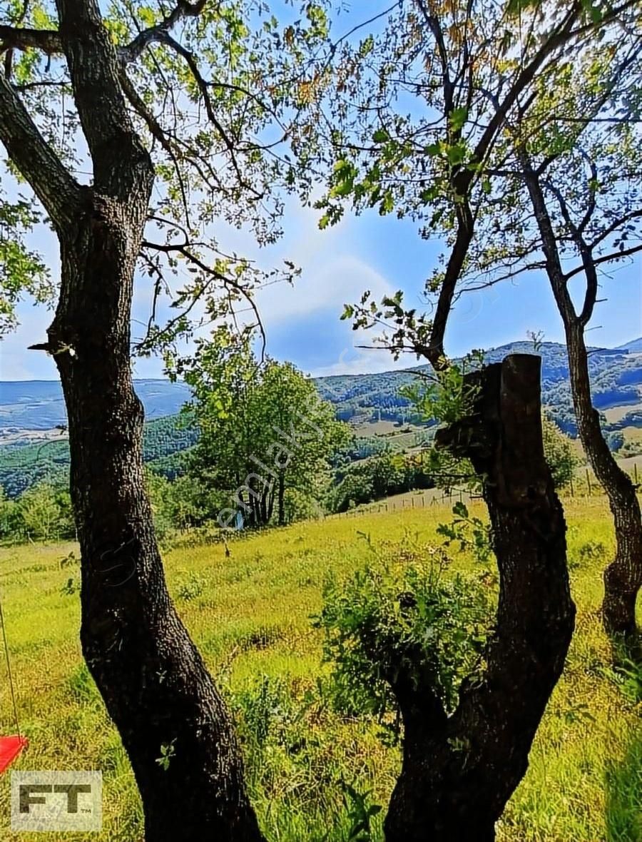 Atakum Çatmaoluk Satılık Tarla Yatırımlık Fırsat Arazi