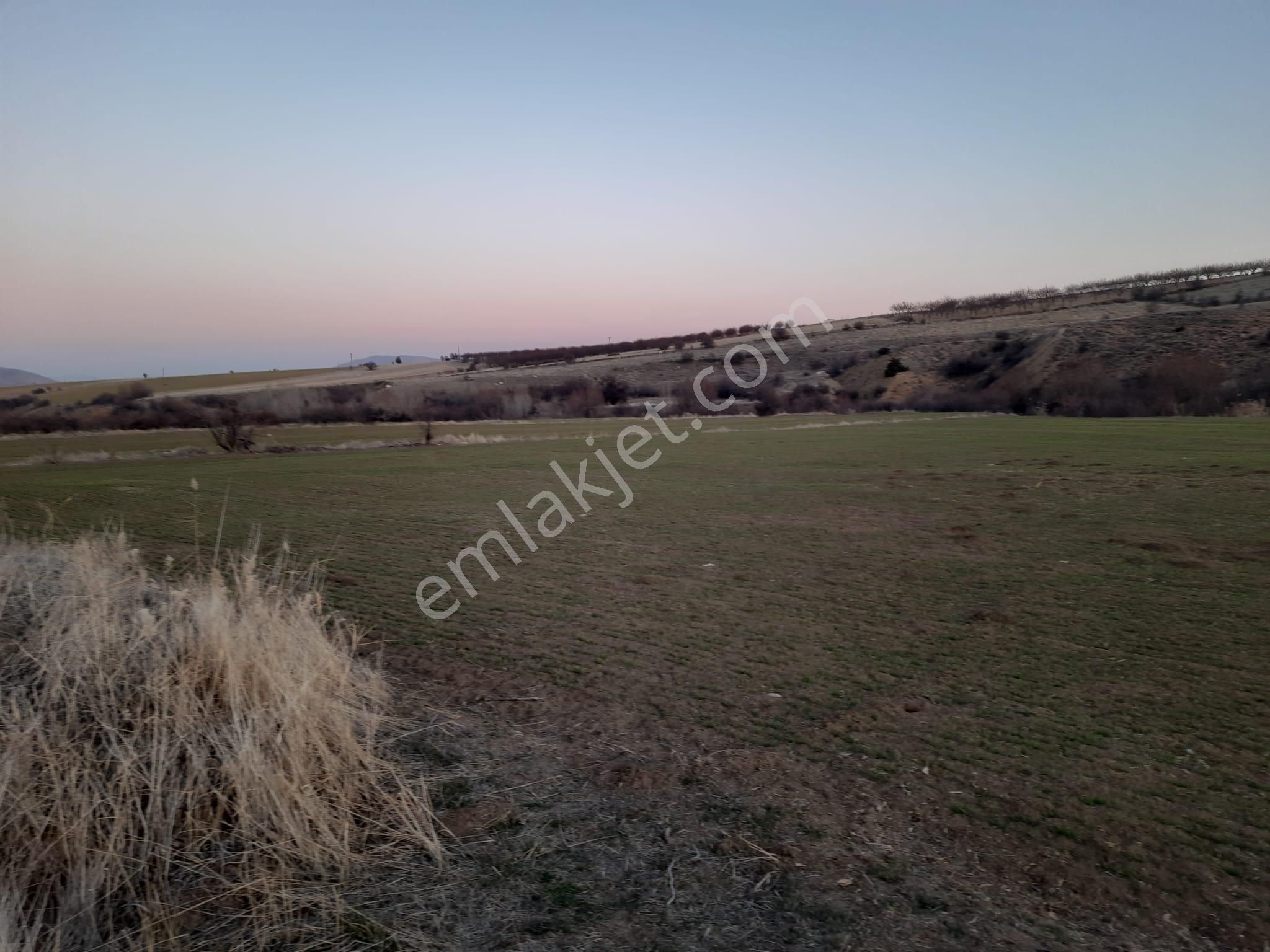 Elazığ Merkez Sütlüce Köyü (Merkez Mevki) Satılık Tarla ** Nova*** Emlaktan Şabanlıda Yatırımlık Tarla