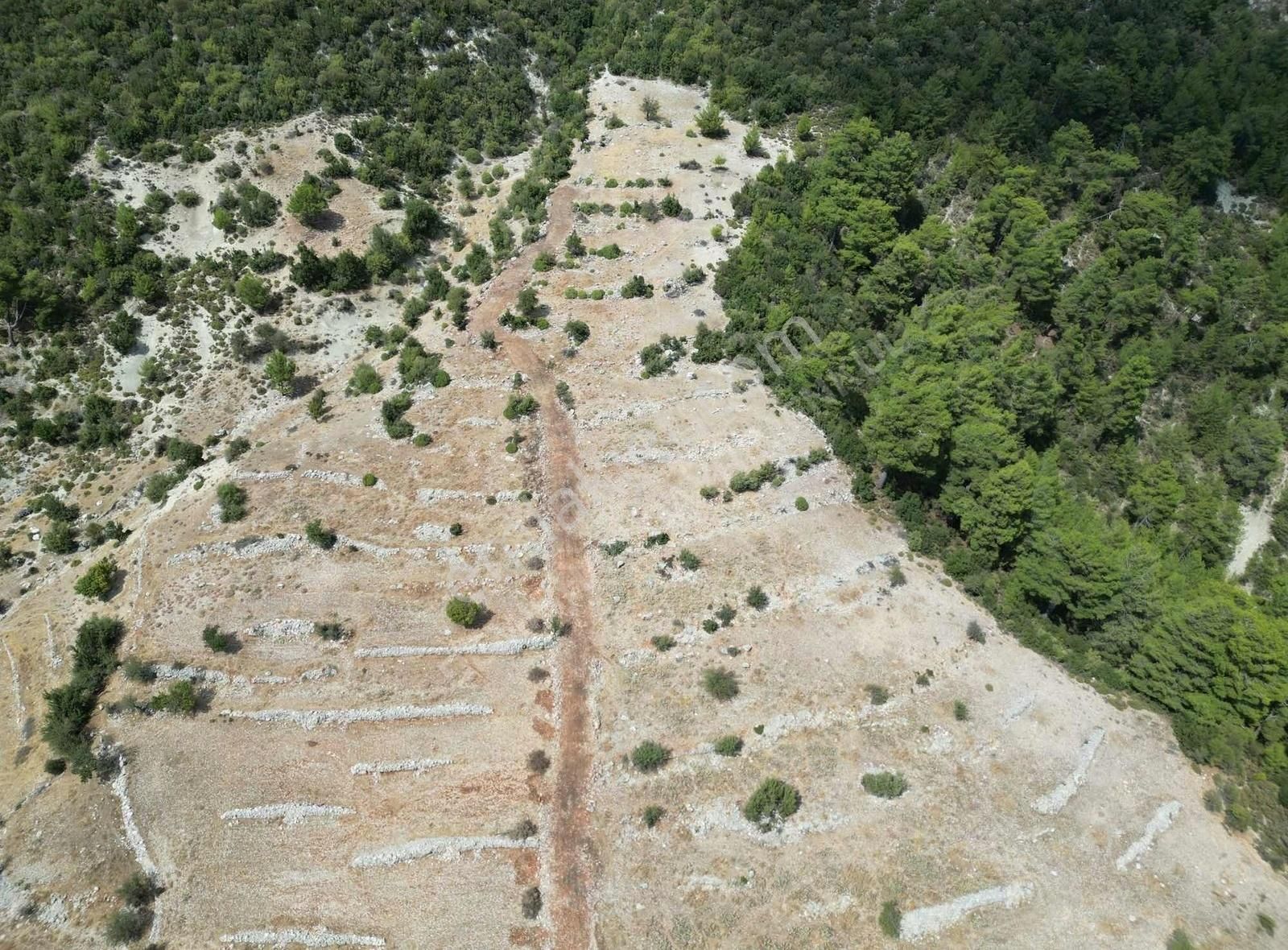 Kaş Hacıoğlan Satılık Tarla Kaş-kalkan Hacıoğlanda Parsel