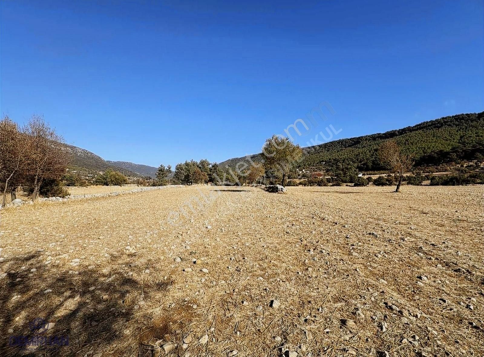 Kaş Sarıbelen Satılık Tarla Kaş, Kalkan Sarıbelende Tek Tapu Parsel, Araç Takaslı