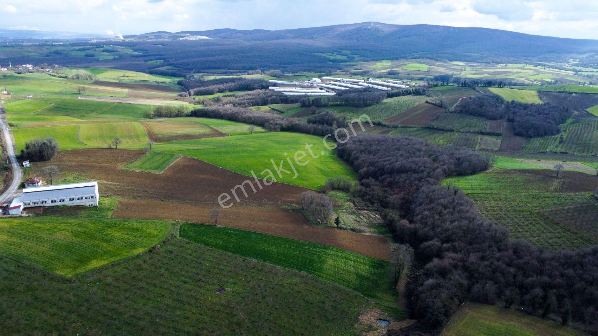 Kaynarca Okçularda Köye Yakın Nitelikli Fırsat Arazi - Görsel 7