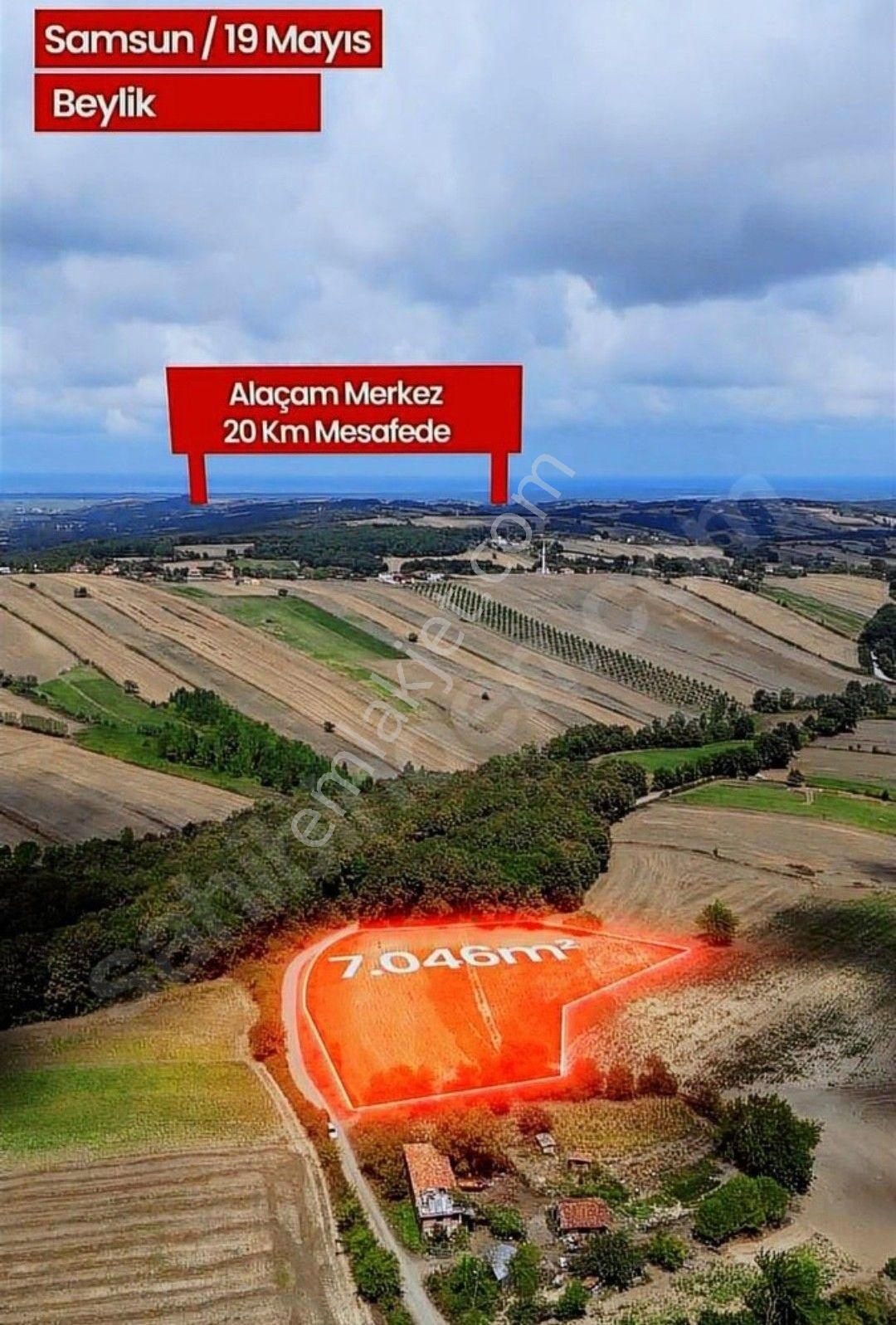 Samsun Alaçam Karahüreyinli'de Satılık 7 046 M2 Arazi - Görsel 17