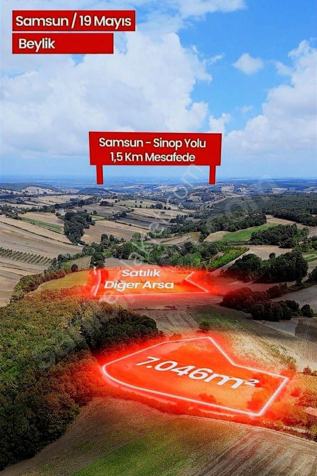 Samsun Alaçam Karahüreyinli'de Satılık 7 046 M2 Arazi - Görsel 22
