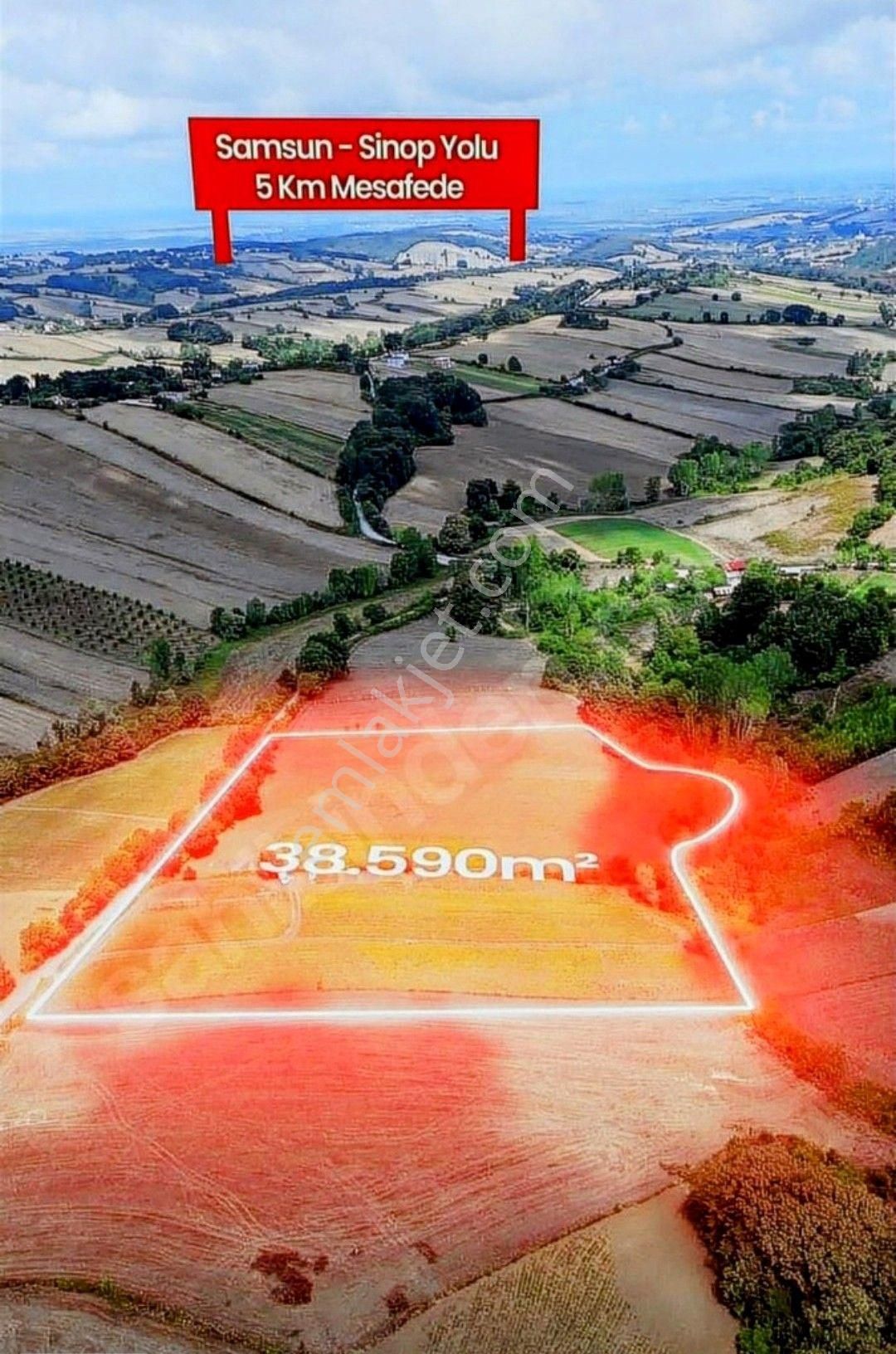 Samsun Alaçam Karahüreyinli'de Satılık 7 046 M2 Arazi - Görsel 7