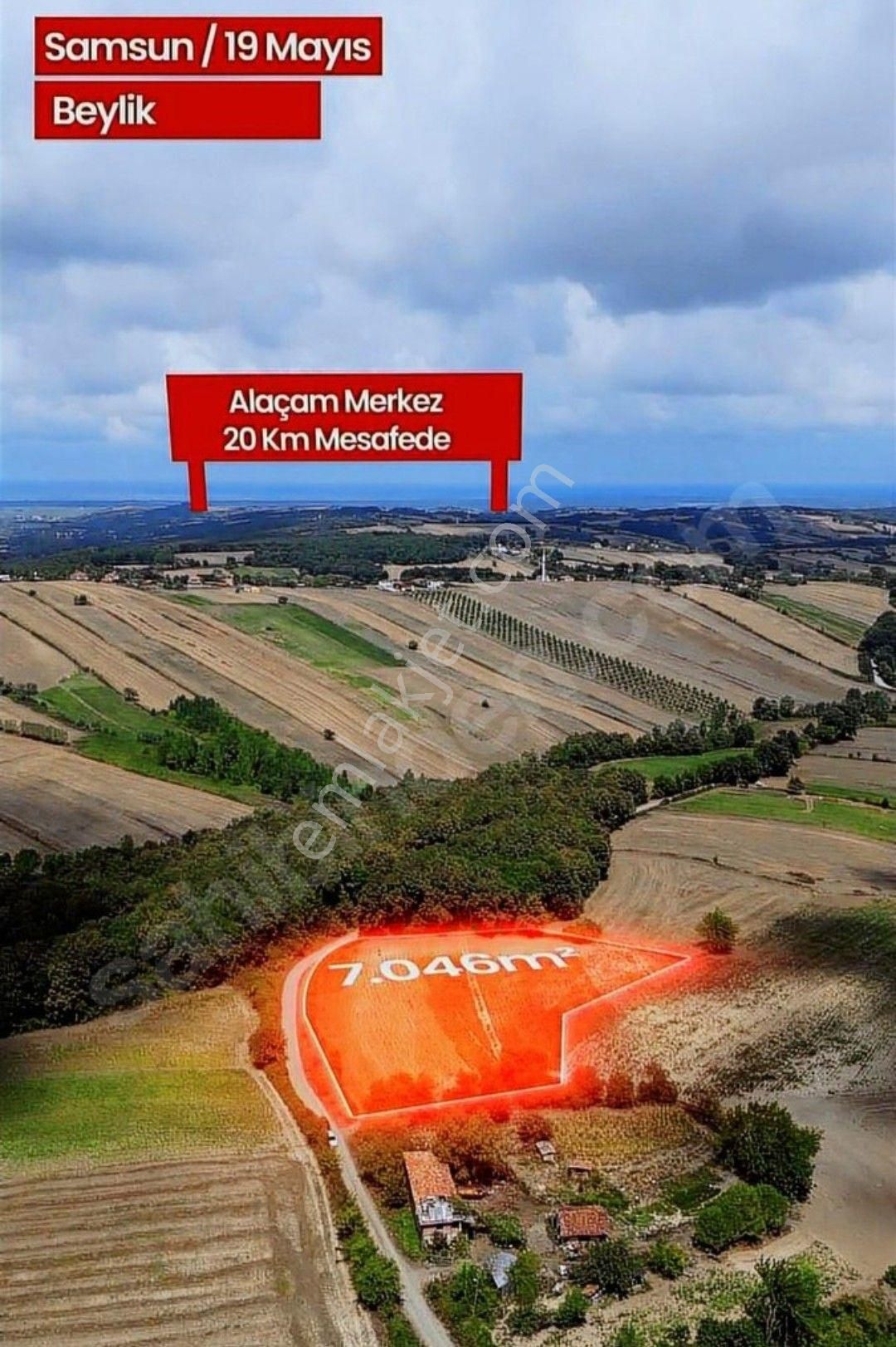 Samsun Alaçam Karahüreyinli'de Satılık 7 046 M2 Arazi - Görsel 10