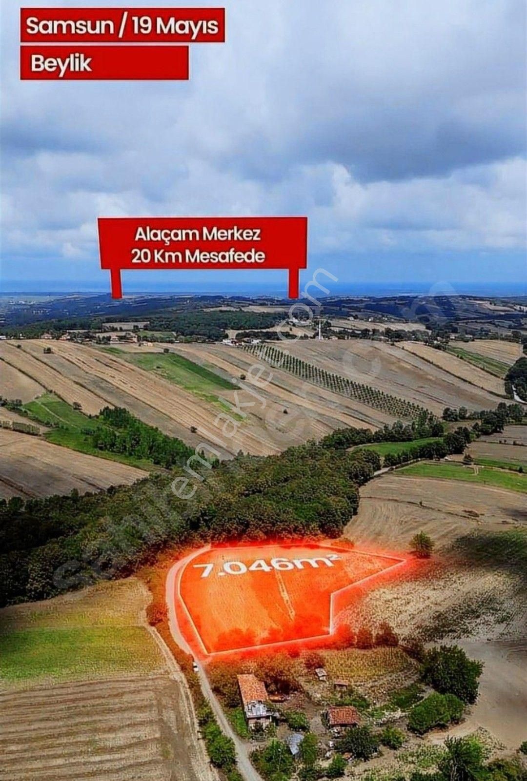 Samsun Alaçam Karahüreyinli'de Satılık 7 046 M2 Arazi - Görsel 15