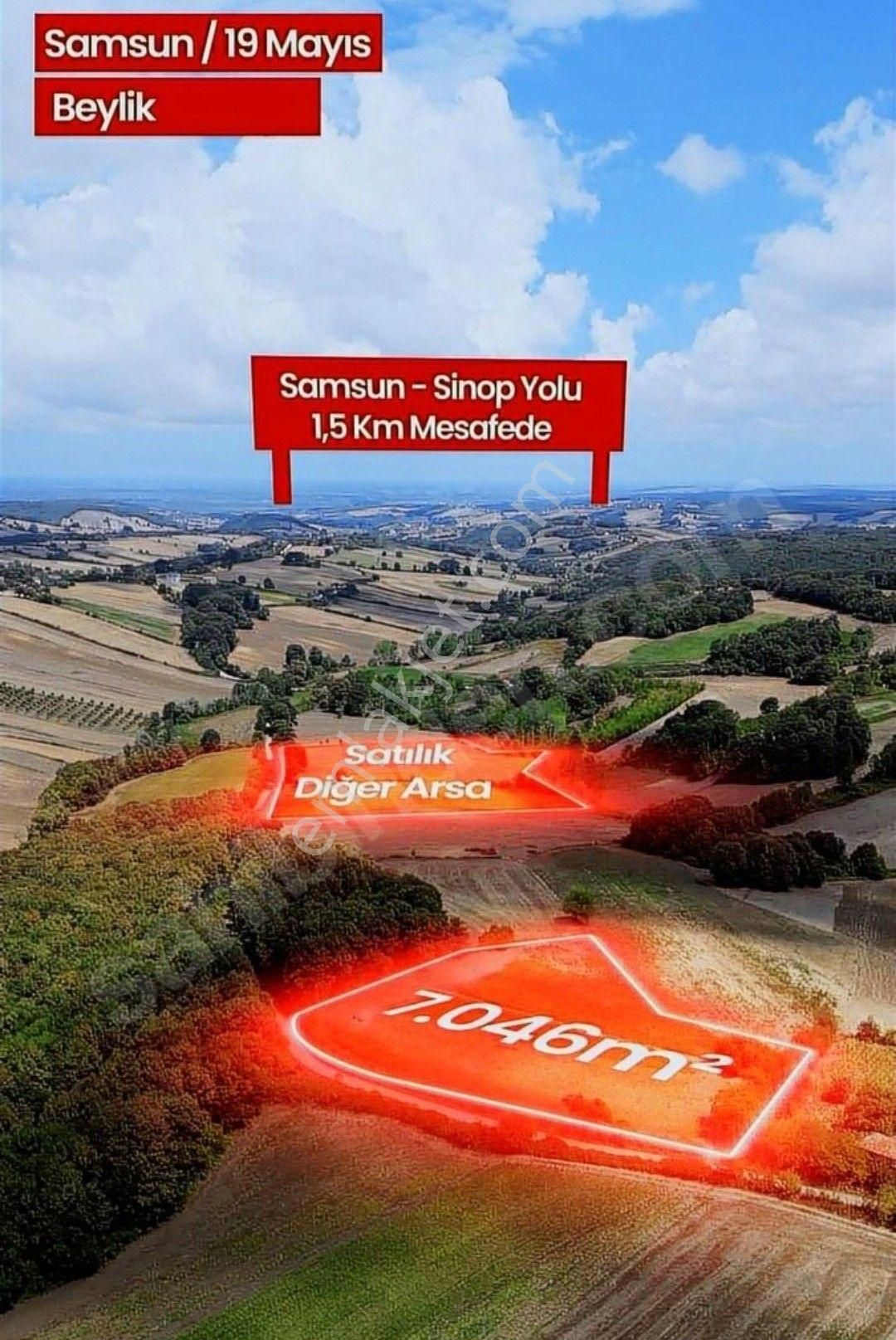 Samsun Alaçam Karahüreyinli'de Satılık 7 046 M2 Arazi - Görsel 18