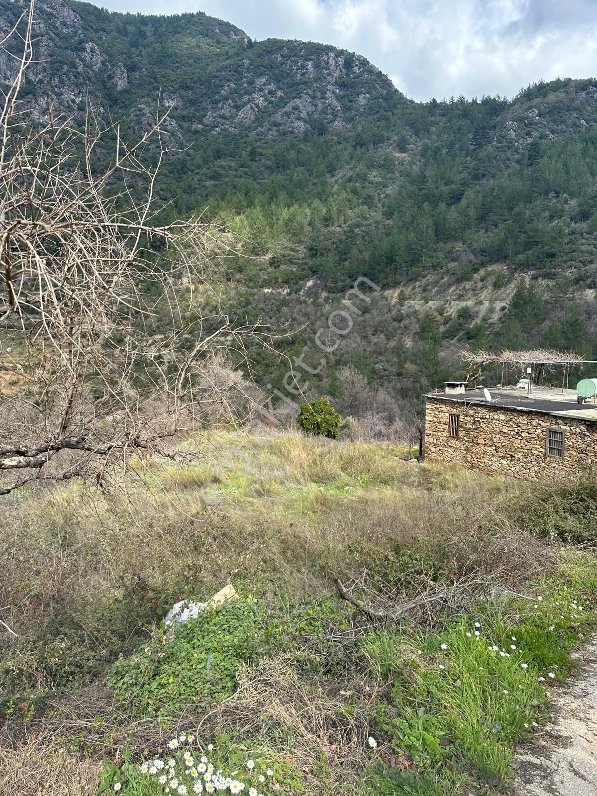 Gazipaşa Gökçesaray Satılık Tarla Ev Yapımına Uygun Satılık Tarla