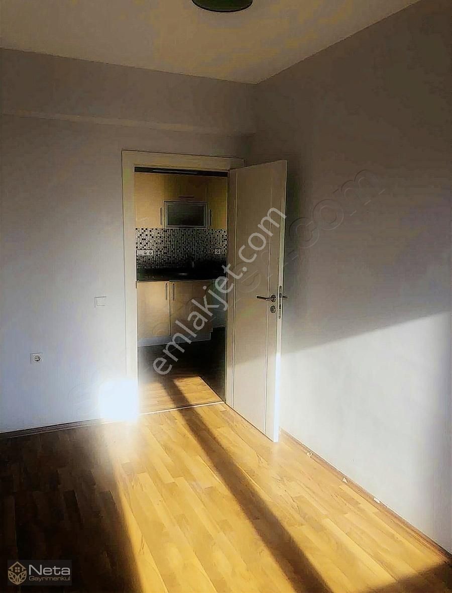 Tepebaşı Yenibağlar Kiralık Daire Neta'dan Yeni Bağlar Mh.beraberlik Sk.da Geniş Kiralık 1+1 Daire