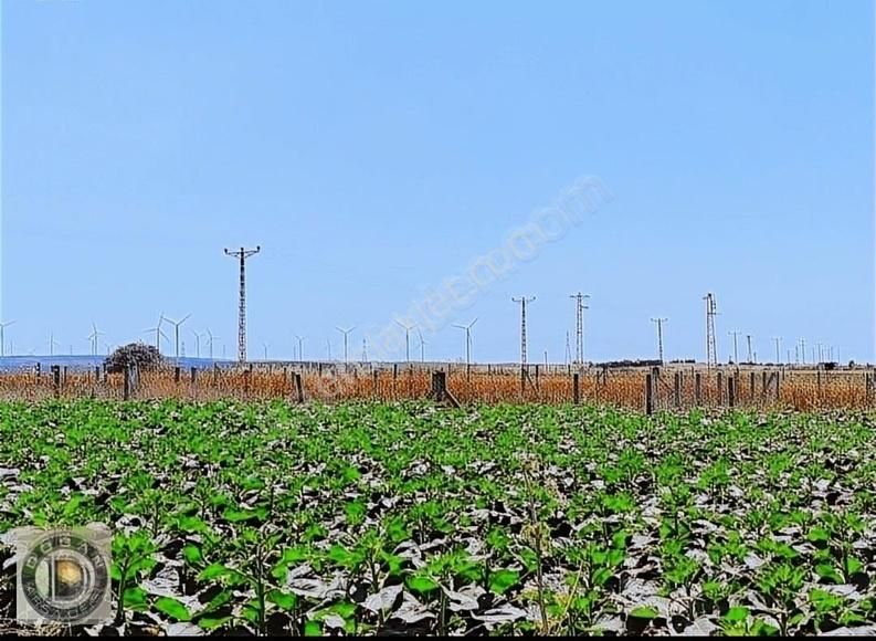 İstanbul Silivri De Acil Satılık Etrafı Çevrili 265 Metre Arsa - Görsel 5