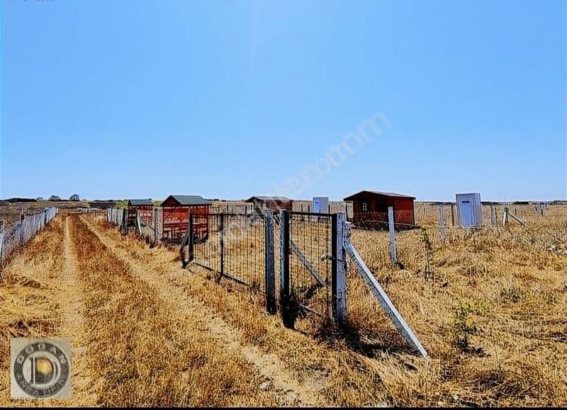 İstanbul Da Bu Konumda Bu Fiyatta Arsa Yok Son Bir Arsa Kaldı - Görsel 8