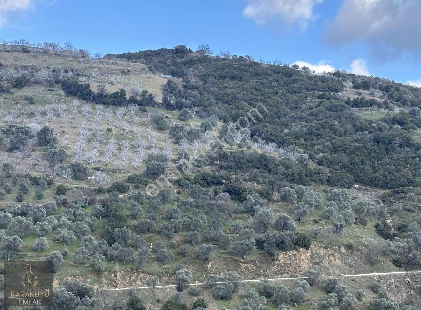 Nazilli Yaylapınar Satılık Bağ & Bahçe Yayla Pınar Da Bahçe