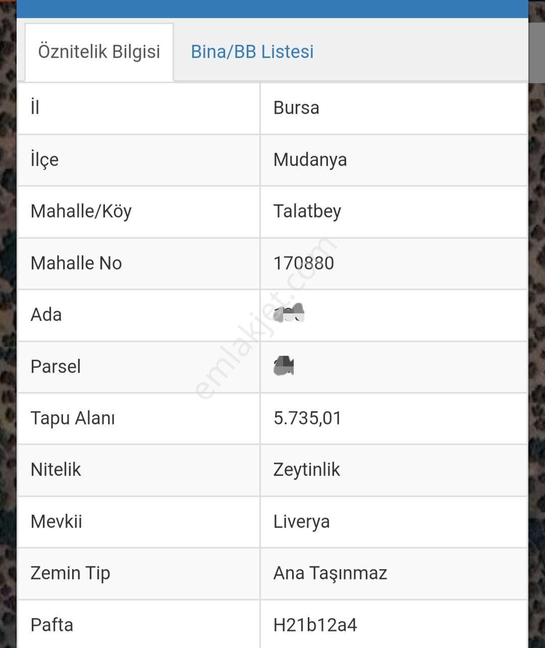 Ena Group Bursa Mudanya Tirilye Talatbey'de 5735 M2 Satılık Deniz Gören Zeytinlik - Görsel 2