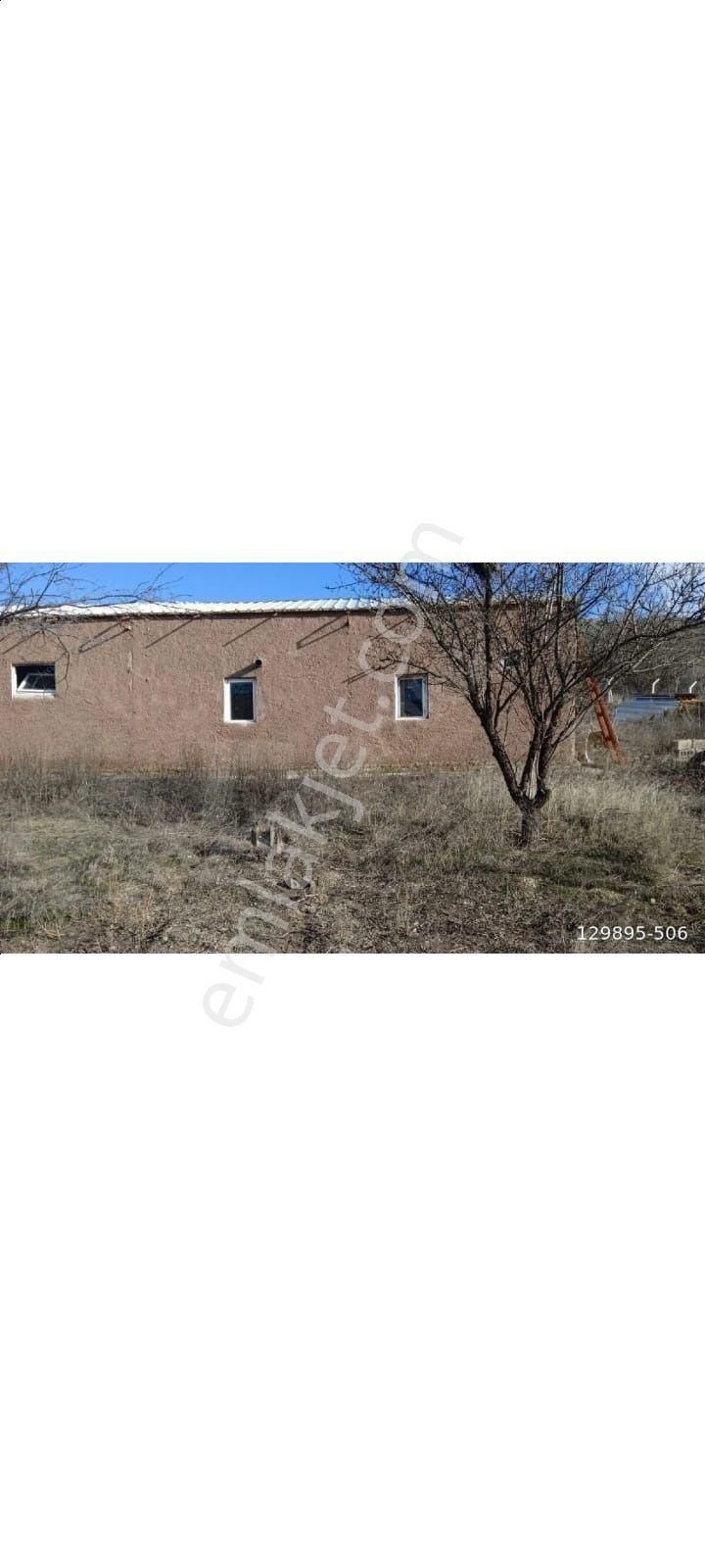 Akif'ten Kalecikte Mandıra Ve Arazili Satılık 4400 M2 Çiftlik - Görsel 4