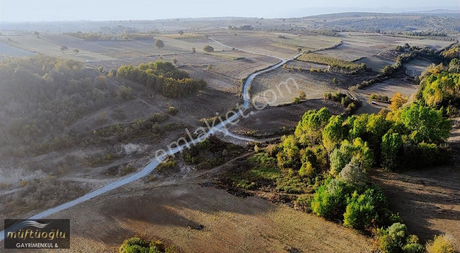 Yenişehir Çiçeközü Satılık Tarla Bursa Yenişehir Çiçeközü Mahallesin'de Satılık Tarla