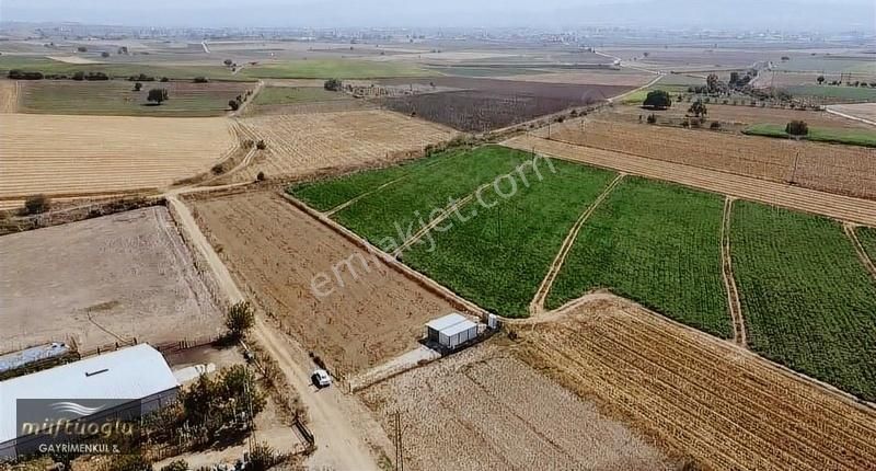 Yenişehir Barcın Satılık Tarla Bursa Yenişehir Barcın Mahallesinde Satılık Hobi Bhacesi