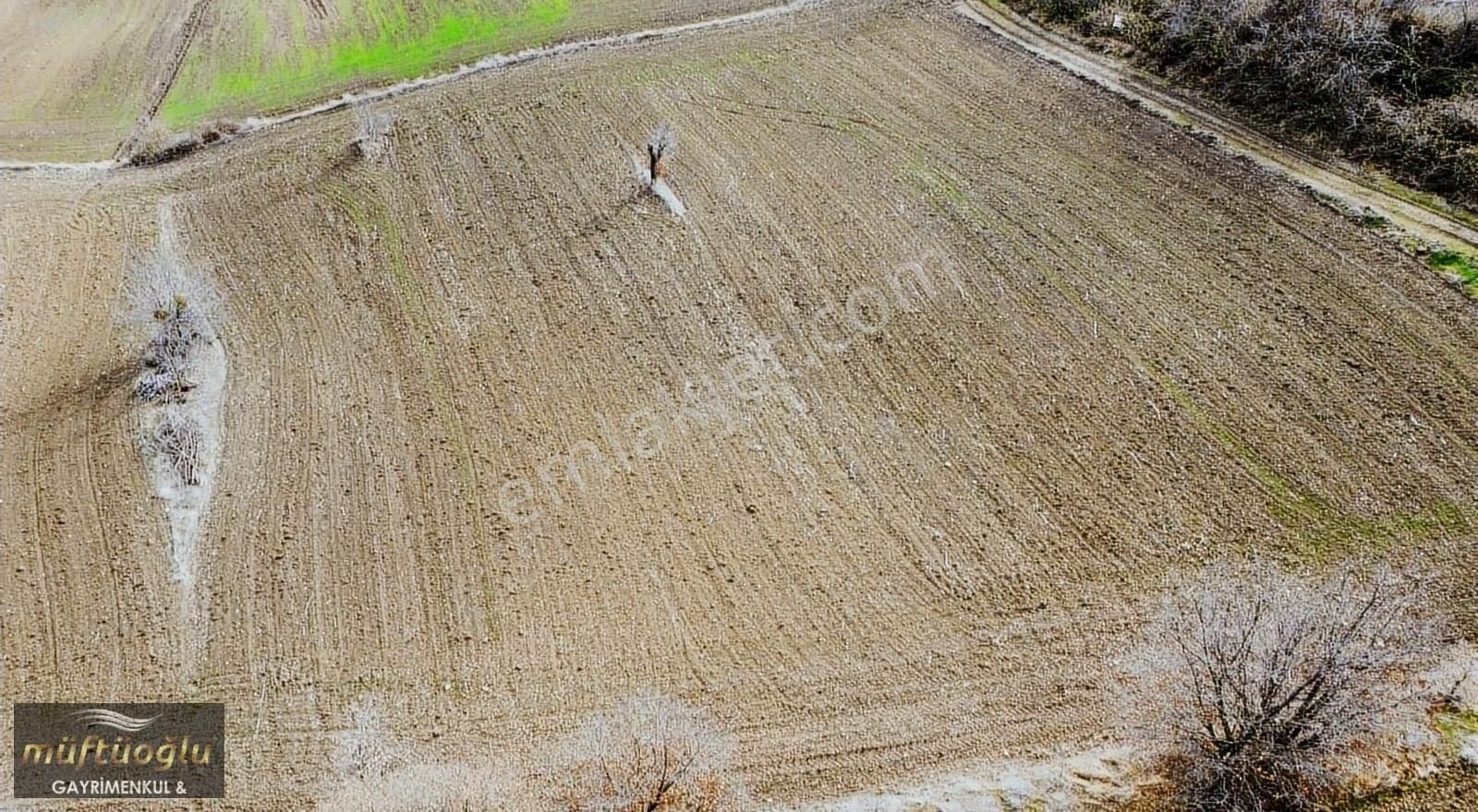 Yenişehir Kızılhisar Satılık Tarla Bursa Yenişehir Kızılhisar Mahallesin'de Satılık Tarla