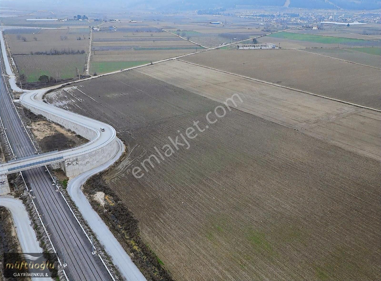 Yenişehir Çardak Satılık Tarla Bursa Yenişehir Çardak Mahallesi'nde Satılık Tarla