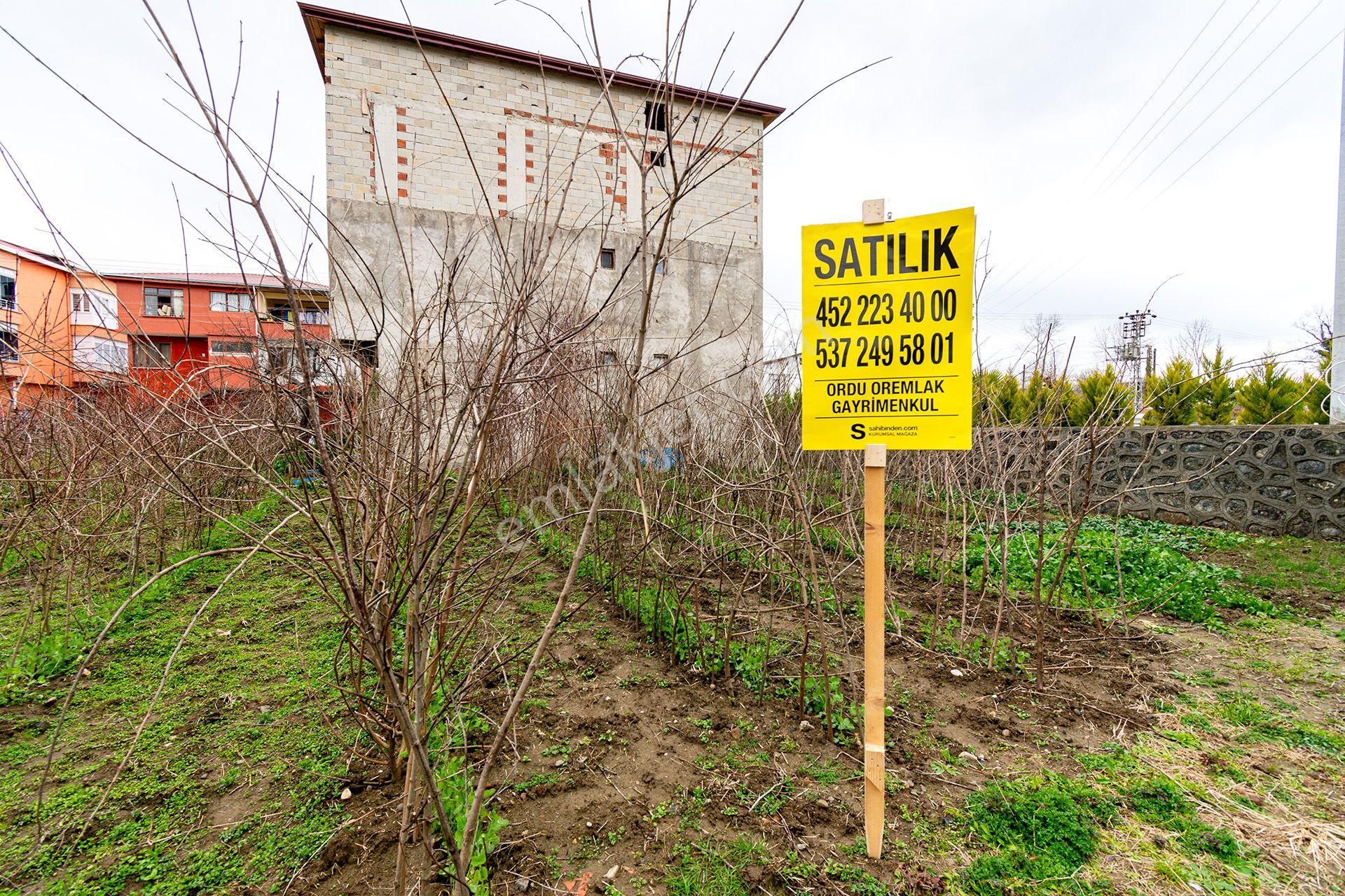 Perşembe Efirli Satılık Konut İmarlı Ordu Perşembe Efirli’de 202m² Satılık Tek Tapu İmarlı Arsa