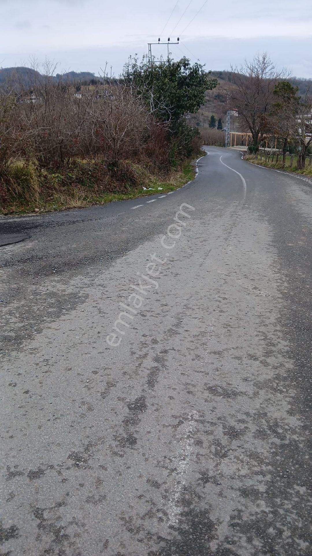 Perşembe Boğazcık Satılık Bağ & Bahçe Perşembe Boğazcık Mah 2526m2 Satılık Arazi