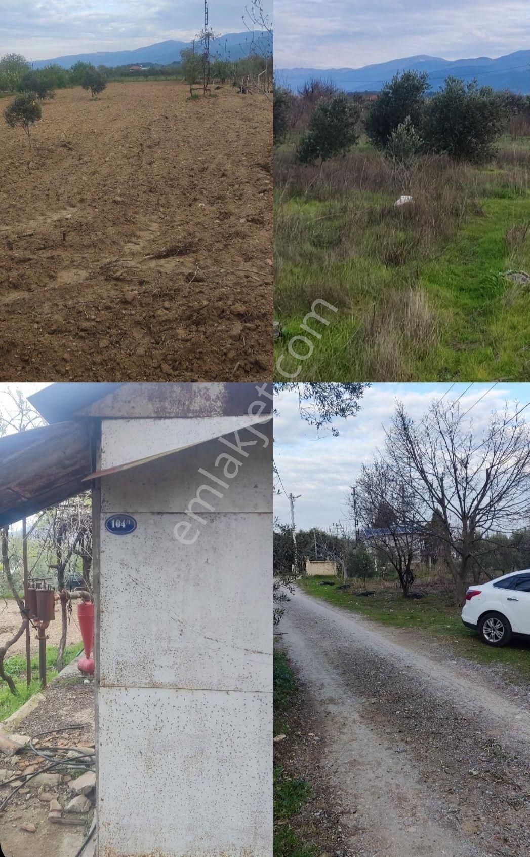 Sahibinden Satılık