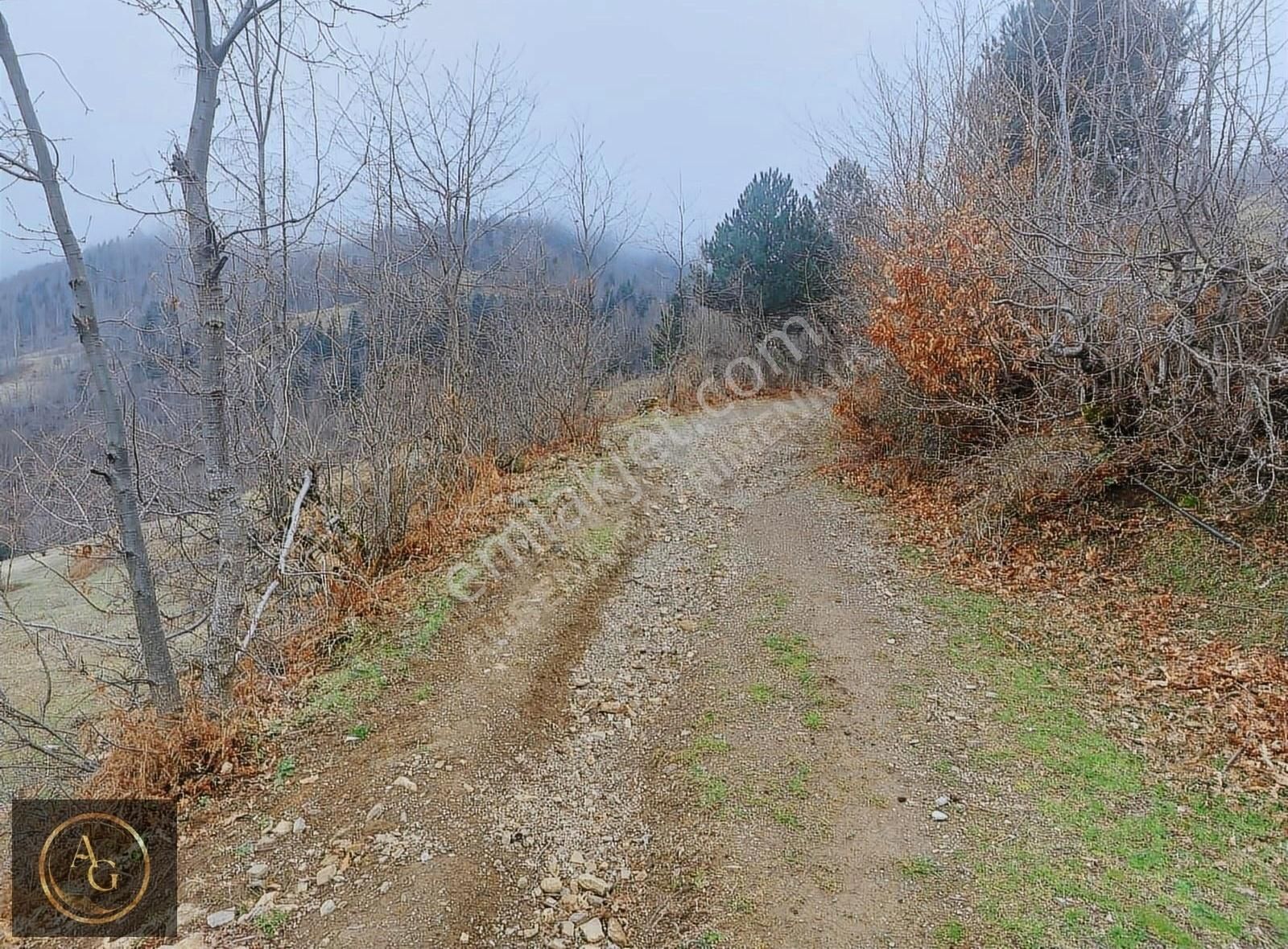 Alaçam Demircideresi Satılık Tarla Ahşena'dan Alaçam'da Ev Yapımına Uygun 3520 M2 Satılık Arazi