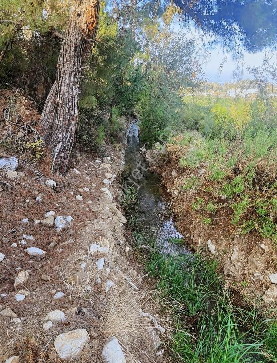 Konyaaltı Hacısekililer Satılık Tarla Daha Uygunu Yok ! Konyaaltı Hacısekililer Antalya Manzaralı !