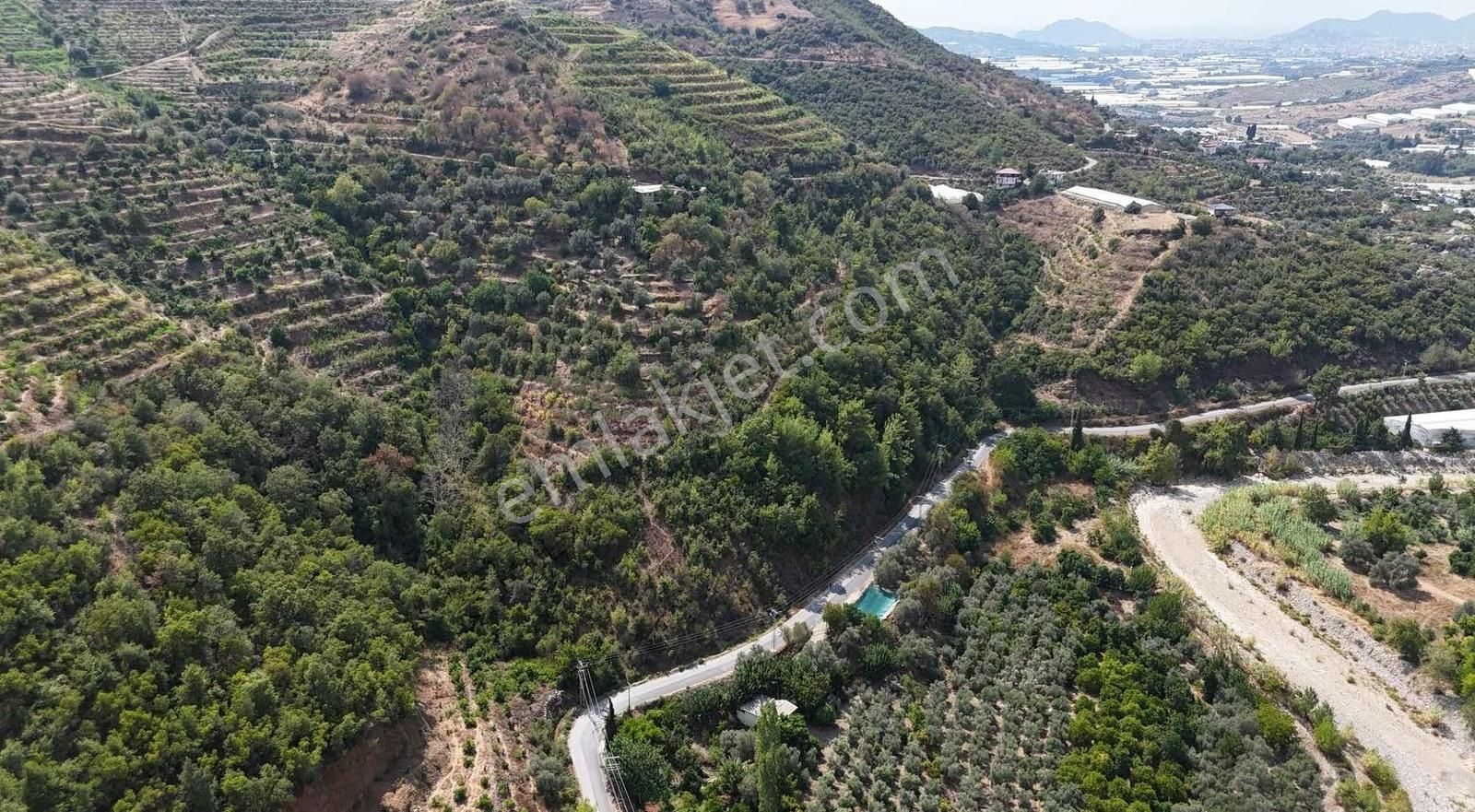 Gazipaşa Hasdere Satılık Tarla Hasdere Mahallesinde Ana Yola Sıfır Satılık Tarla