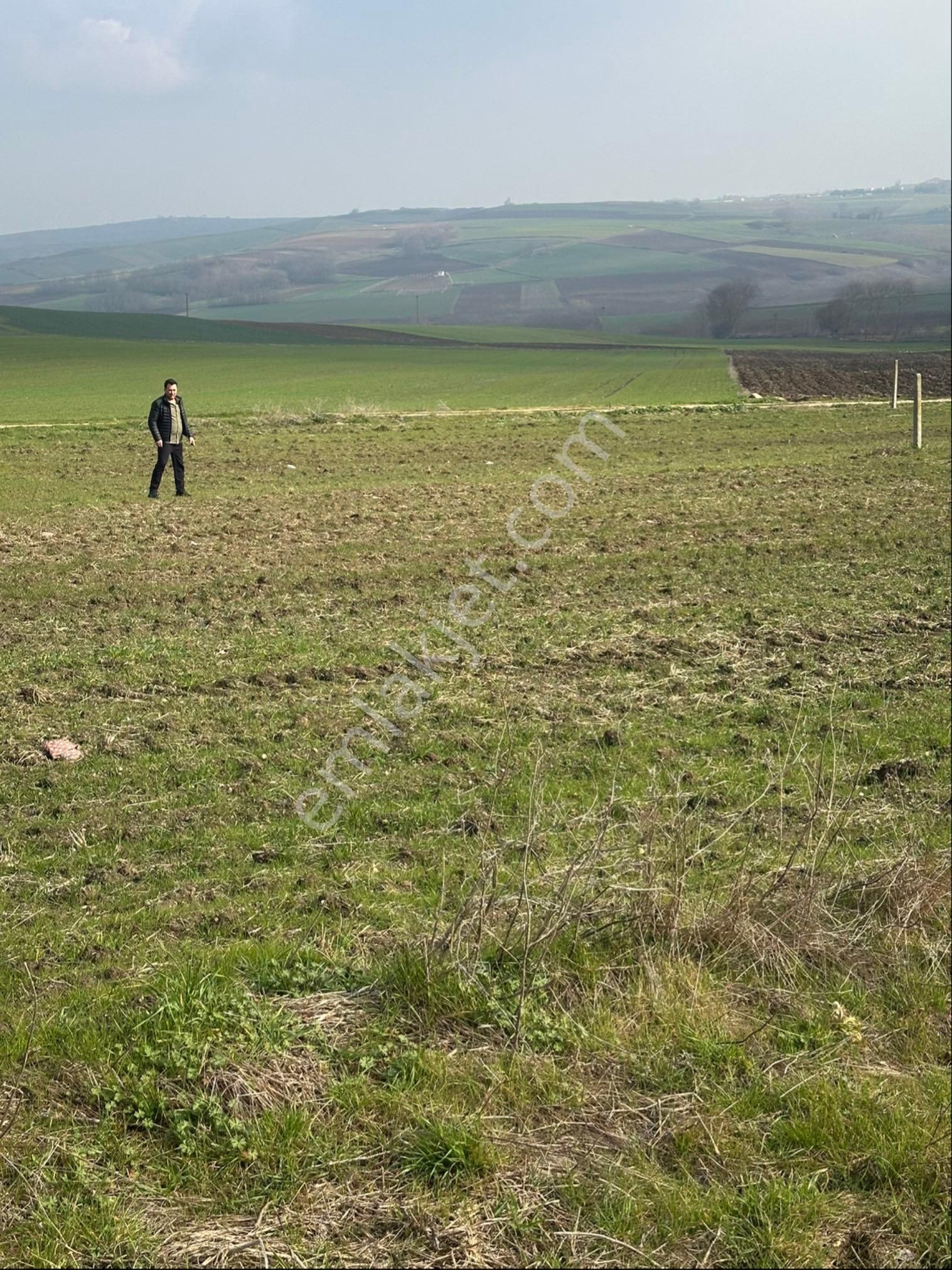 Silivri Gazitepe Satılık Tarla Silivri Gazitepe Mahallesi Yolu Mevcut 510 Metre² Yer Satılıktır