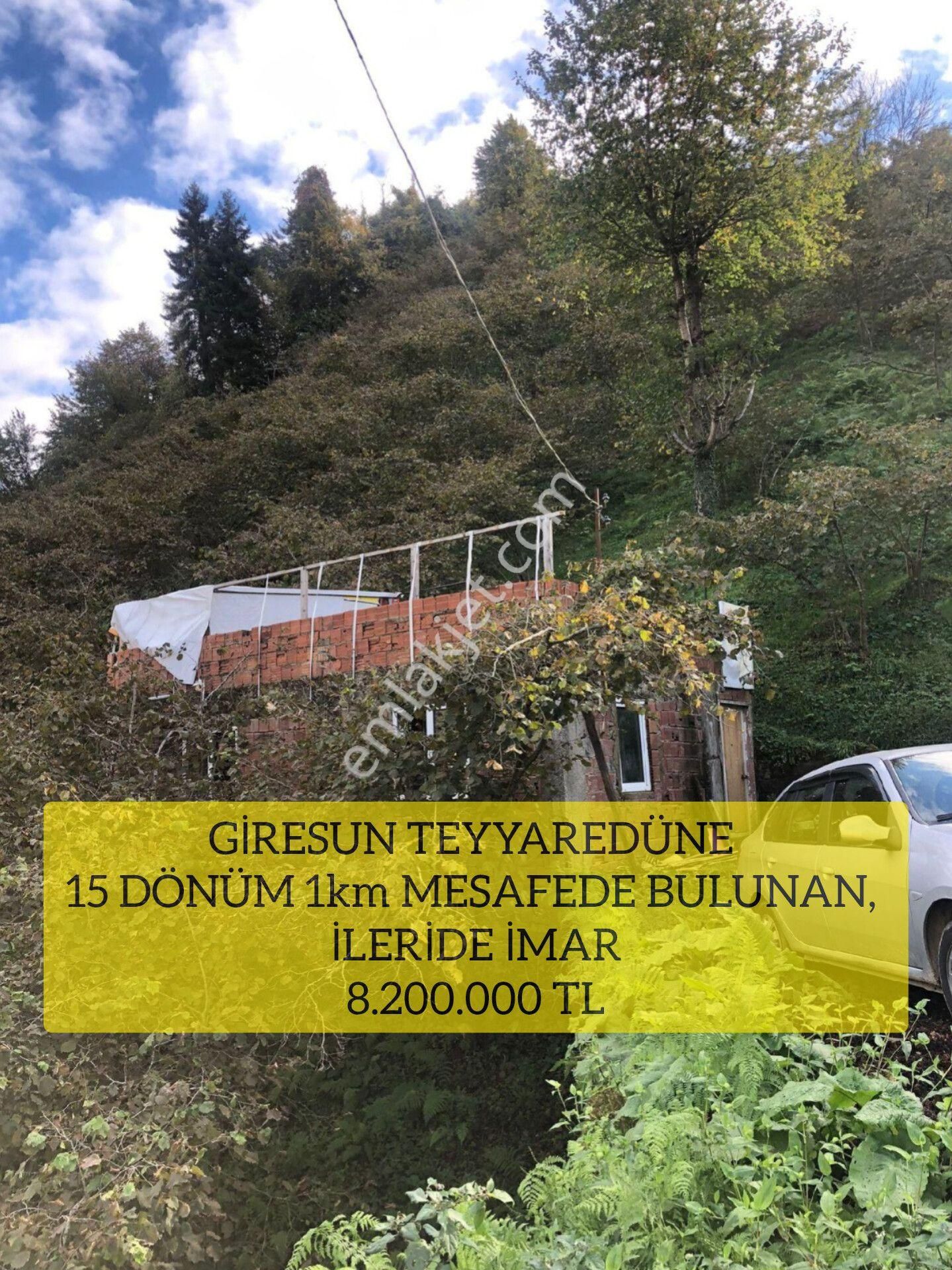 Giresun Merkez Hacımiktat Satılık Villa İmarlı ( 31 ) Giresun Teyyaredüne 15 Dönüm 1km Mesafede Bulunan, İleride İma