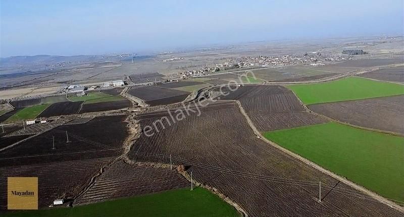 Manyas Kulak Satılık Tarla Mayadan Gayrimenkul'den Manyas Kulak'da 19539 M2 Satılık Tarla