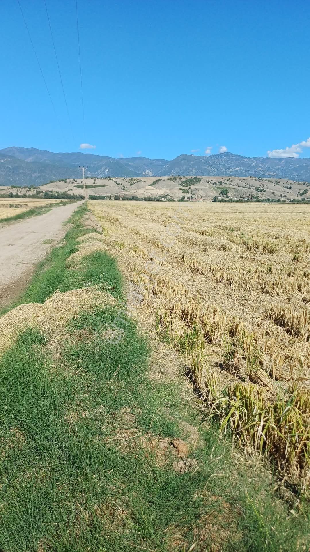 Erbaa Karşıyaka Satılık Tarla Tokat Erbaa Karşıyaka Mah Satılık 52.720m2 Dönüm Arazi