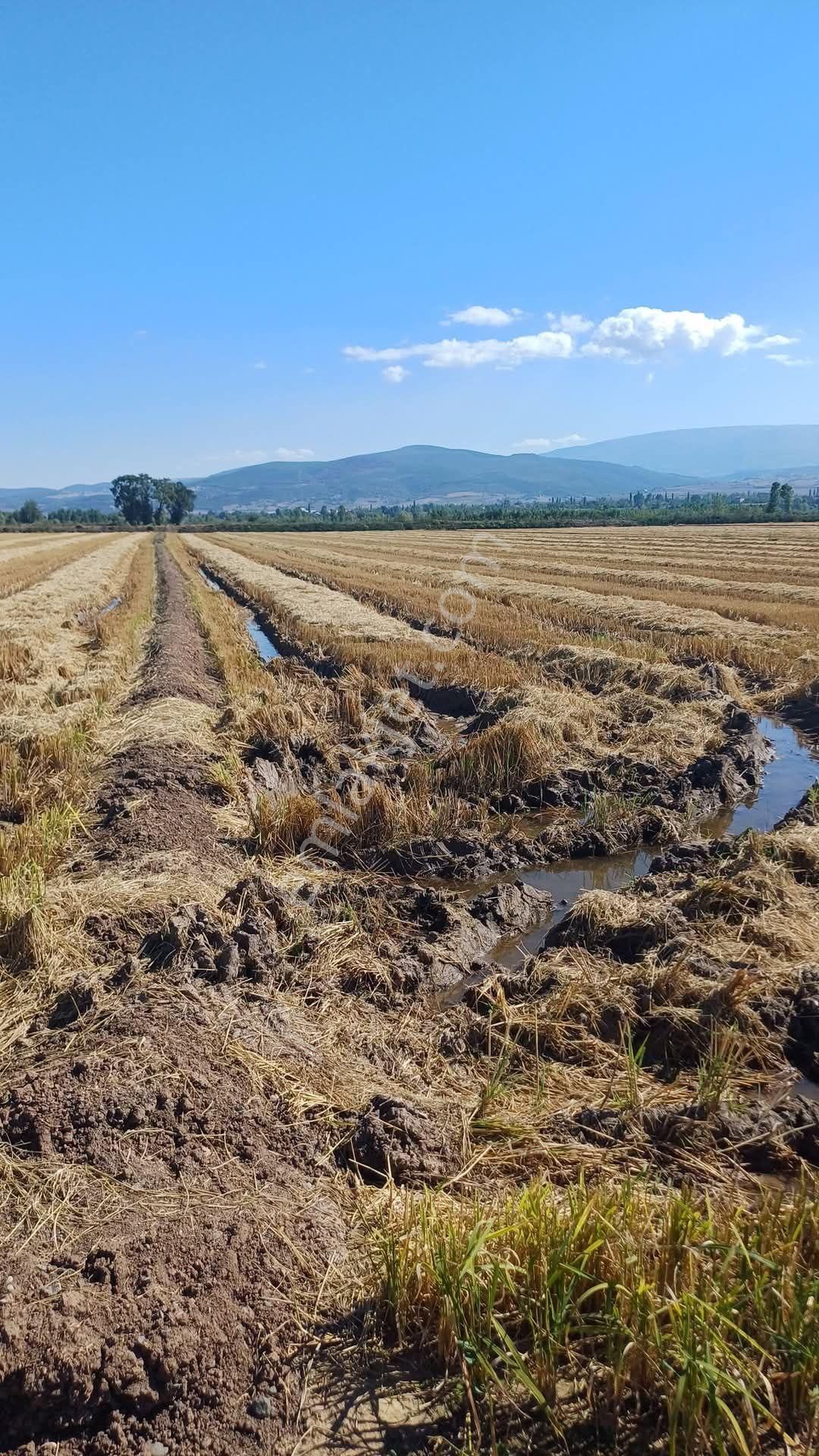 Tokat Erbaa Karşıyaka Mah Satılık 11.677 M2 Dönüm Arazi - Görsel 7