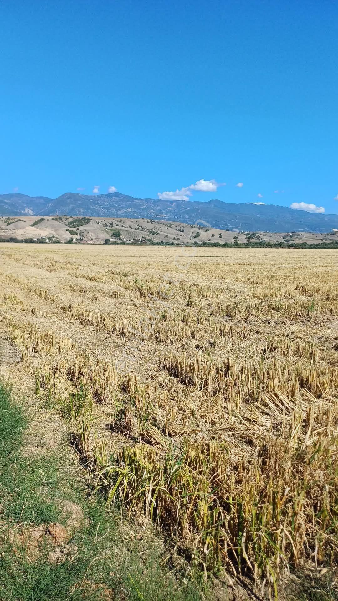 Tokat Erbaa Karşıyaka Mah Satılık 11.677 M2 Dönüm Arazi - Görsel 5