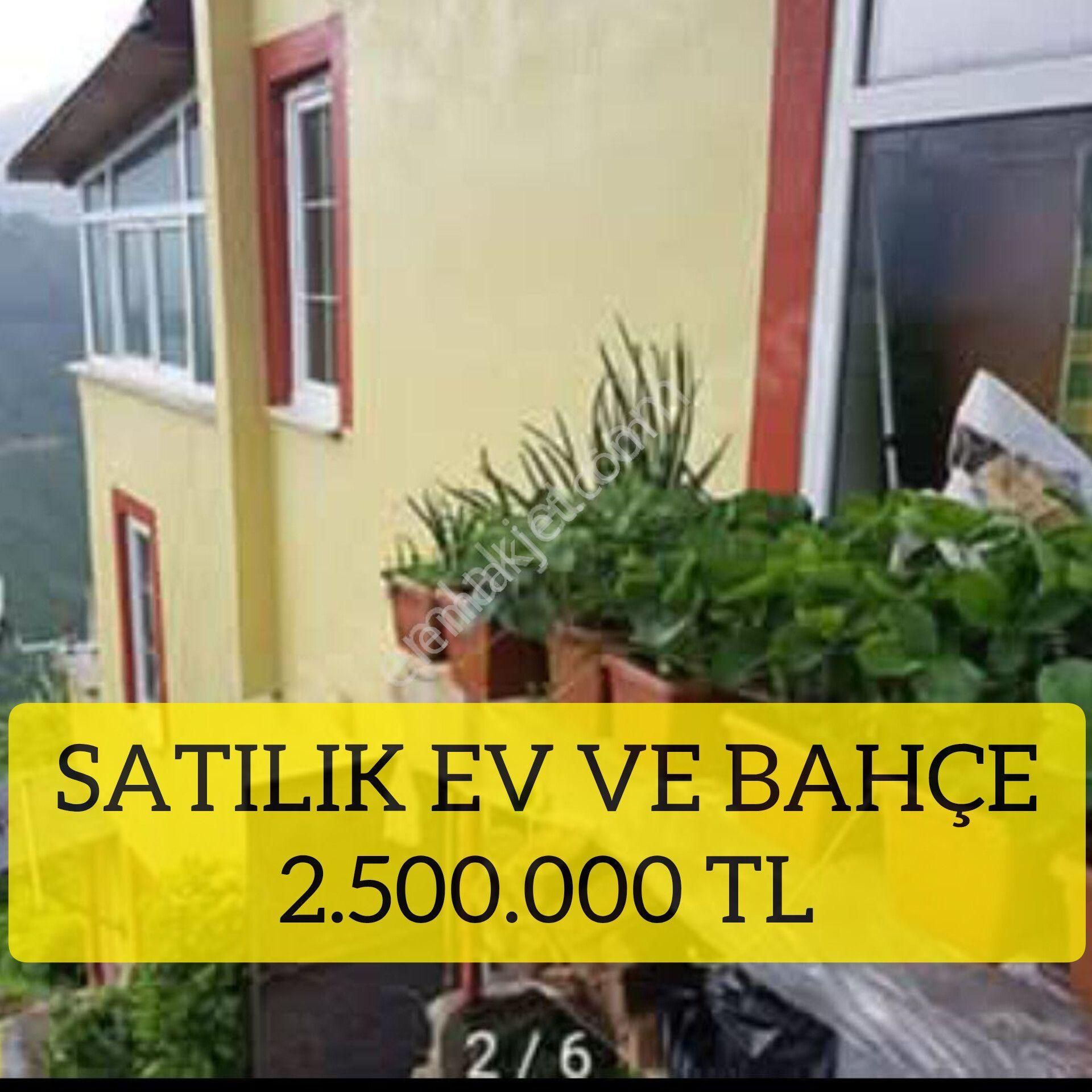 Giresun Merkez Nizamiye Satılık Bağ & Bahçe (49 ) Satılık Ev Ve Bahçe