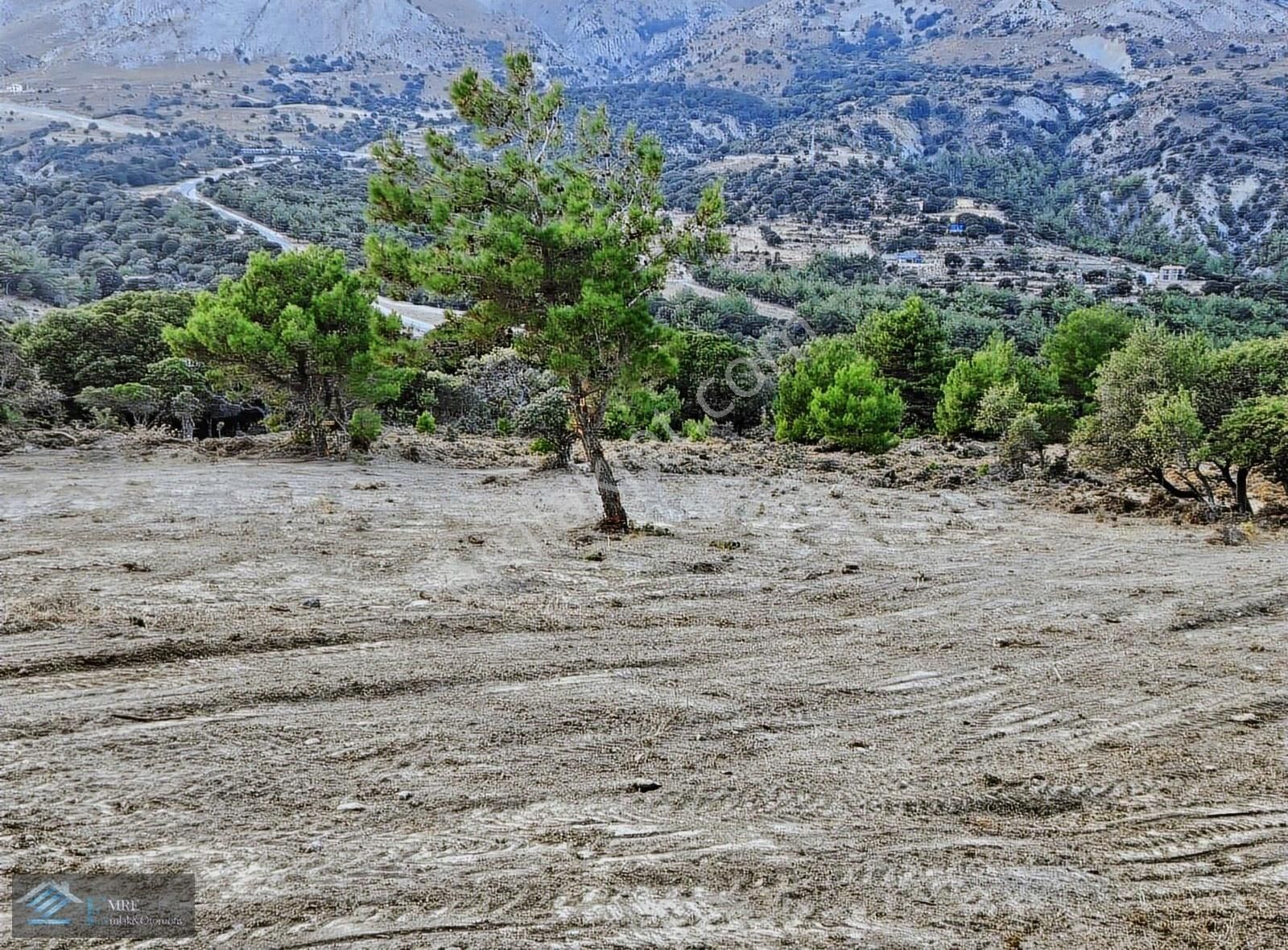 Gökçeada Tepeköy Köyü Satılık Tarla Gökçeada Da Manzaralı Sit Dışı Büyük Arazi