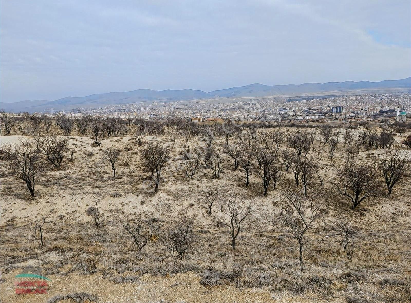 Kırşehir Merkez Kuşdilli Satılık Turizm İmarlı Nokta Emlakta Satılık Kaplıca İmarlı 40 Dönüm Arsa