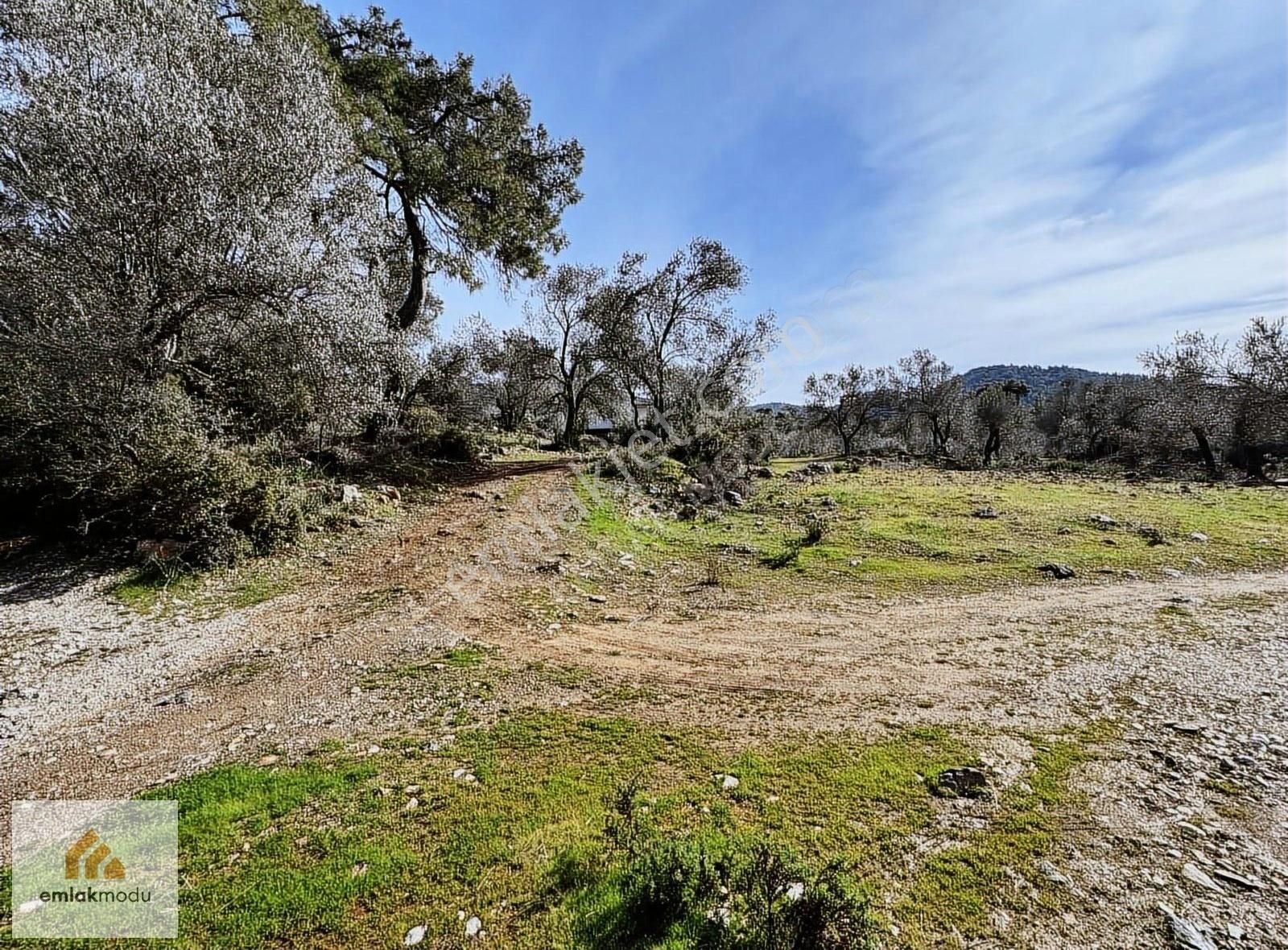 Fethiye Yakacık Satılık Tarla Emlakmodu'ndan Yakacık'ta 1.402 M2 Satılık Arazi