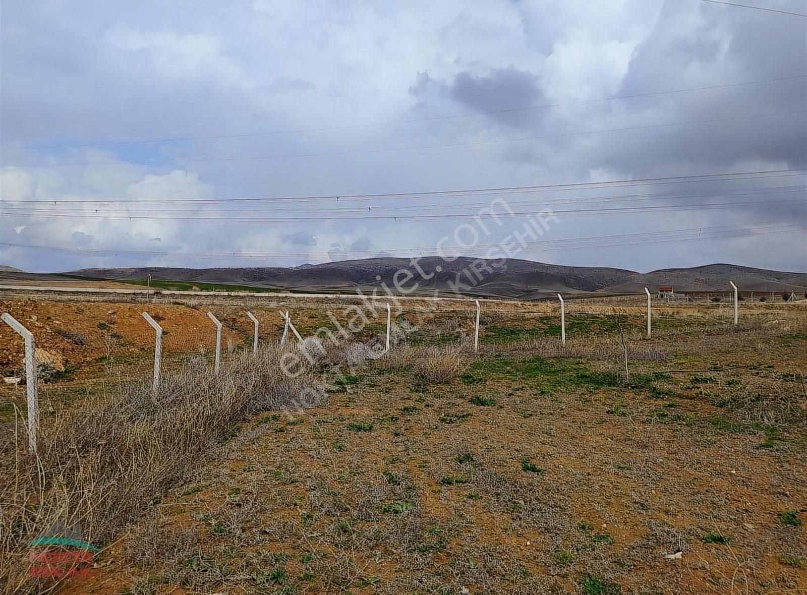 Kırşehir Merkez Karaduraklı Köyü Satılık Tarla Nokta Emlaktan Anayol Kenarı 35 Dönüm Satılık Ceviz Bahçesi